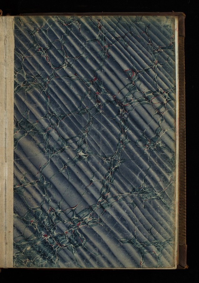 digitised image 3