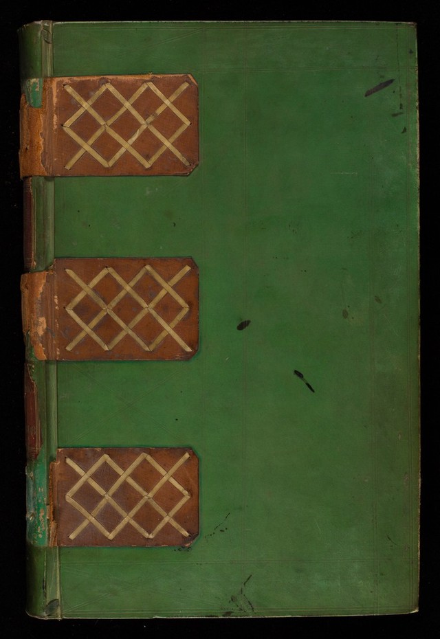 digitised image 1