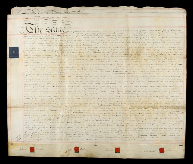 digitised image 1