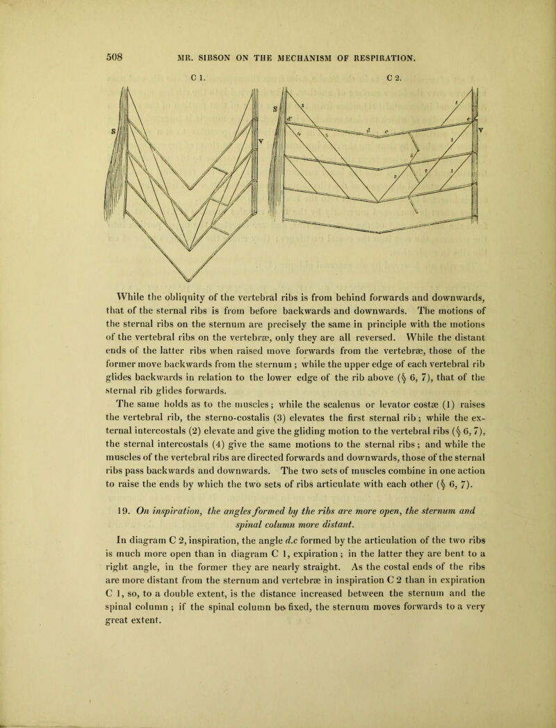 Cl. C 2. While the obliquity of the vertebral ribs is from behind forwards and downwards, that of the sternal ribs is from before backwards and downwards. The motions of the sternal ribs on the sternum are precisely the same in principle with the motions of the vertebral ribs on the vertebrae, only they are all reversed. While the distant ends of the latter ribs when raised move forwards from the vertebrae, those of the former move backwards from the sternum ; while the upper edge of each vertebral rib glides backwards in relation to the lower edge of the rib above (§ 6, 7), that of the sternal rib glides forwards. The same holds as to the muscles; while the scalenus or levator costse (1) raises the vertebral rib, the sterno-costalis (3) elevates the first sternal rib; while the ex- ternal intercostals (2) elevate and give the gliding motion to the vertebral ribs (§ 6, 7), the sternal intercostals (4) give the same motions to the sternal ribs ; and while the muscles of the vertebral ribs are directed forwards and downwards, those of the sternal ribs pass backwards and downwards. The two sets of muscles combine in one action to raise the ends by which the two sets of ribs articulate with each other (§ 6, 7)- 19. On inspiration, the angles formed by the ribs are more open, the sternum and spinal column more distant. In diagram C 2, inspiration, the angle d.c formed by the articulation of the two ribs is much more open than in diagram C 1, expiration ; in the latter they are bent to a right angle, in the former they are nearly straight. As the costal ends of the ribs are more distant from the sternum and vertebrae in inspiration C 2 than in expiration C 1, so, to a double extent, is the distance increased between the sternum and the spinal column ; if the spinal column b& fixed, the sternum moves forwards to a very great extent.
