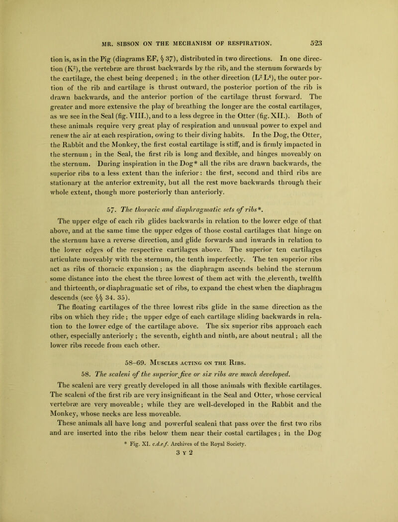 tion is, as in the Pig- (diagrams EF, § 37), distributed in two directions. In one direc- tion (K2), the vertebrae are thrust backwards by the rib, and the sternum forwards by the cartilage, the chest being deepened ; in the other direction (L2L4), the outer por- tion of the rib and cartilage is thrust outward, the posterior portion of the rib is drawn backwards, and the anterior portion of the cartilage thrust forward. The greater and more extensive the play of breathing the longer are the costal cartilages, as we see in the Seal (fig. VIII.), and to a less degree in the Otter (fig. XII.). Both of these animals require very great play of respiration and unusual power to expel and renew the air at each respiration, owing to their diving habits. In the Dog, the Otter, the Rabbit and the Monkey, the first costal cartilage is stiff, and is firmly impacted in the sternum; in the Seal, the first rib is long and flexible, and hinges moveably on the sternum. During inspiration in the Dog* all the ribs are drawn backwards, the superior ribs to a less extent than the inferior: the first, second and third ribs are stationary at the anterior extremity, but all the rest move backwards through their whole extent, though more posteriorly than anteriorly. 57. The thoracic and diaphragmatic sets of ribs*. The upper edge of each rib glides backwards in relation to the lower edge of that above, and at the same time the upper edges of those costal cartilages that hinge on the sternum have a reverse direction, and glide forwards and inwards in relation to the lower edges of the respective cartilages above. The superior ten cartilages articulate moveably with the sternum, the tenth imperfectly. The ten superior ribs act as ribs of thoracic expansion ; as the diaphragm ascends behind the sternum some distance into the chest the three lowest of them act with the eleventh, twelfth and thirteenth, or diaphragmatic set of ribs, to expand the chest when the diaphragm descends (see §§ 34. 35). The floating cartilages of the three lowest ribs glide in the same direction as the ribs on which they ride; the upper edge of each cartilage sliding backwards in rela- tion to the lower edge of the cartilage above. The six superior ribs approach each other, especially anteriorly ; the seventh, eighth and ninth, are about neutral; all the lower ribs recede from each other. 58-69. Muscles acting on the Ribs. 58. The scaleni of the superior Jive or six ribs are much developed. The scaleni are very greatly developed in all those animals with flexible cartilages. The scaleni of the first rib are very insignificant in the Seal and Otter, whose cervical vertebrae are very moveable; while they are well-developed in the Rabbit and the Monkey, whose necks are less moveable. These animals all have long and powerful scaleni that pass over the first two ribs and are inserted into the ribs below them near their costal cartilages; in the Dog * Fig. XI. c.d.ef. Archives of the Royal Society. 3 Y 2