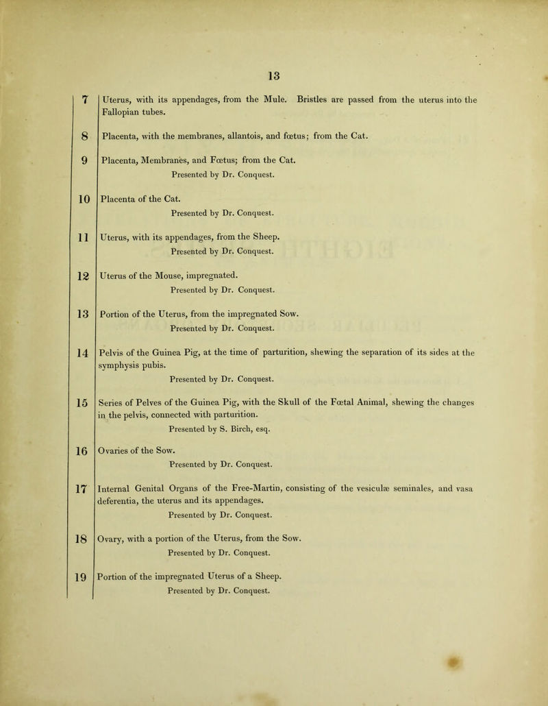 7 8 9 10 11 12 13 14 15 16 17 18 19 Uterus, with its appendages, from the Mule. Bristles are passed from the uterus into the Fallopian tubes. Placenta, with the membranes, allantois, and foetus; from the Cat. Placenta, Membranes, and Foetus; from the Cat. Presented by Dr. Conquest. Placenta of the Cat. Presented by Dr. Conquest. Uterus, with its appendages, from the Sheep. Presented by Dr. Conquest. Uterus of the Mouse, impregnated. Presented by Dr. Conquest. Portion of the Uterus, from the impregnated Sow. Presented by Dr. Conquest. Pelvis of the Guinea Pig, at the time of parturition, shewing the separation of its sides at the symphysis pubis. Presented by Dr. Conquest. Series of Pelves of the Guinea Pig, with the Skull of the Foetal Animal, shewing the changes in the pelvis, connected with parturition. Presented by S. Birch, esq. Ovaries of the Sow. Presented by Dr. Conquest. Internal Genital Organs of the Free-Martin, consisting of the vesiculae seminales, and vasa deferentia, the uterus and its appendages. Presented by Dr. Conquest. Ovary, with a portion of the Uterus, from the Sow. Presented by Dr. Conquest. Portion of the impregnated Uterus of a Sheep. Presented by Dr. Conquest.