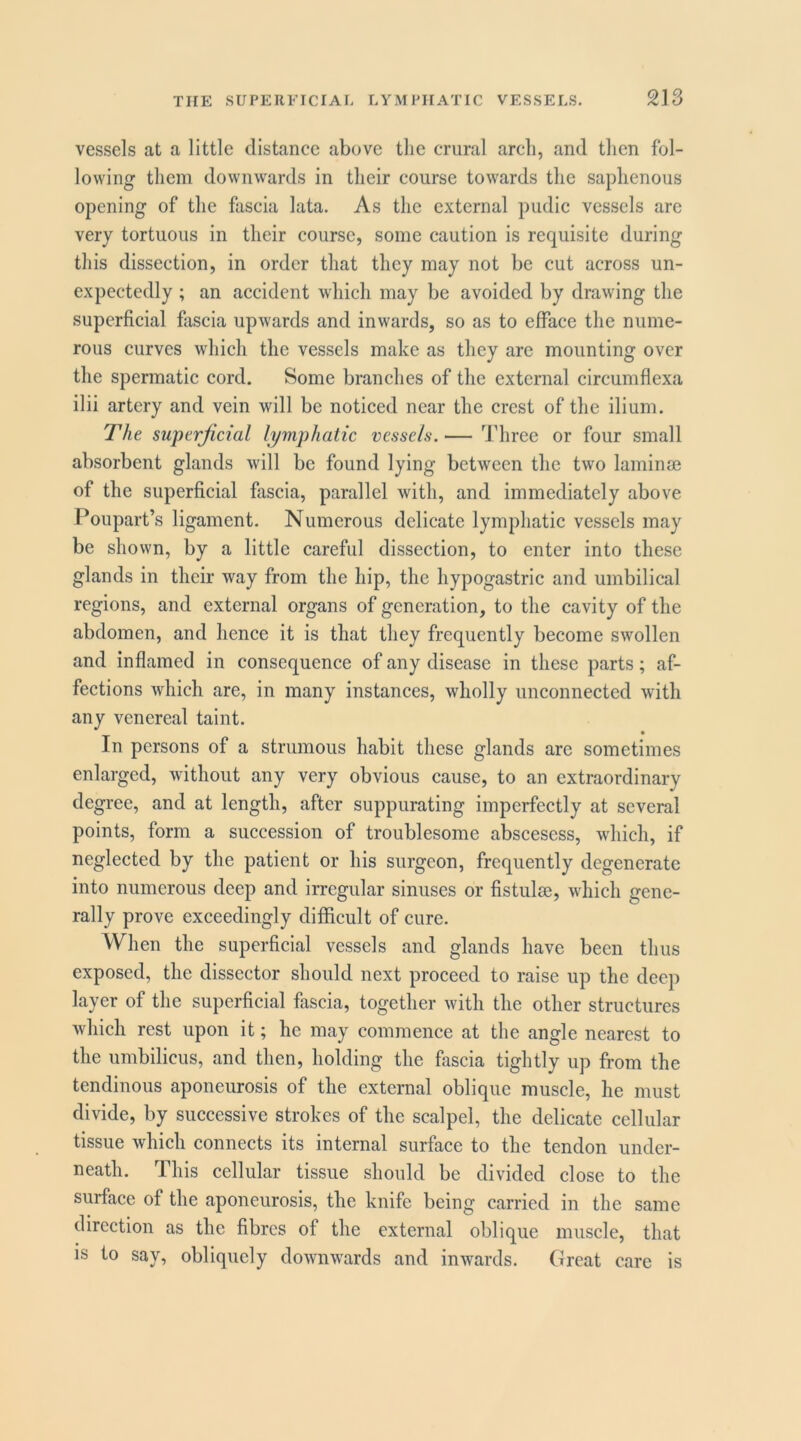 vessels at a little distance above the crural arcli, and then fol- lowing them downwards in their course towards the saphenous opening of the fascia lata. As the external pudic vessels are very tortuous in their course, some caution is requisite during this dissection, in order that they may not be cut across un- expectedly ; an accident which may be avoided by drawing the superficial fascia upwards and inwards, so as to efface the nume- rous curves which the vessels make as they are mounting over the spermatic cord. Some branches of the external circumflexa ilii artery and vein will be noticed near the crest of the ilium. The superjicial lymphatic vessels.— Three or four small absorbent glands will be found lying between the two laminae of the superficial fascia, parallel with, and immediately above Poupart’s ligament. Numerous delicate lymphatic vessels may be shown, by a little careful dissection, to enter into these glands in their way from the hip, the hypogastric and umbilical regions, and external organs of generation, to the cavity of the abdomen, and hence it is that they frequently become swollen and inflamed in consequence of any disease in these parts; af- fections which are, in many instances, wholly unconnected with any venereal taint. In persons of a strumous habit these glands are sometimes enlarged, without any very obvious cause, to an extraordinary degree, and at length, after suppurating imperfectly at several points, form a succession of troublesome abscesess, which, if neglected by the patient or his surgeon, frequently degenerate into numerous deep and irregular sinuses or fistulae, which gene- rally prove exceedingly difficult of cure. When the superficial vessels and glands have been thus exposed, the dissector should next proceed to raise up the deep layer of the superficial fascia, together with the other structures which rest upon it; he may commence at the angle nearest to the umbilicus, and then, holding the fascia tightly up from the tendinous aponeurosis of the external oblique muscle, he must divide, by successive strokes of the scalpel, the delicate cellular tissue which connects its internal surface to the tendon under- neath. This cellular tissue should be divided close to the surface of the aponeurosis, the knife being carried in the same direction as the fibres of the external oblique muscle, that is to say, obliquely downwards and inwards. Great care is