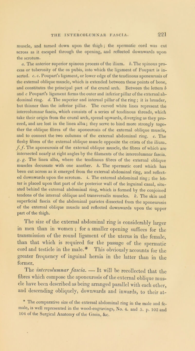 muscle, and turned down upon the thigh ; the spermatic cord was cut across as it escaped through the opening, and reflected downwards upon tlie scrotum. a. The anterior superior spinous process of the ilium. //.The spinous pro- cess or tuberosity of the os pubis, into which the ligament of Poupart is in- serted. c. c. Poupart’s ligament, or lower edge of the tendinous aponeurosis of the external oblique muscle, which is extended between these points of bone, and constitutes the principal part of the crural arch. Between the letters b and c PouparPs ligament forms the outer and inferior pillar of the external ab- dominal ring. d. The superior and internal pillar of the ring; it is broader, but thinner than the inferior pillar. The curved white lines represent the intercolumnar fascia, which consists of a series of tendinous threads, which take their origin from the crural arch, spread upwards, diverging as they pro- ceed, and are lost in the linea alba; they serve to bind more strongly toge- ther the oblique fibres of the aponeurosis of the external oblique muscle, and to connect the two columns of the external abdominal ring. e. The fleshy fibres of the external oblique muscle opposite the crista of the ilium. f. f. The aponeurosis of the external oblique muscle, the fibres of which are intersected nearly at right angles by the filaments of the intercolumnar fascia. g. g. The linea alba, where the tendinous fibres of the external oblique muscles decussate with one another, h. The spermatic cord which has been cut across as it emerged from the external abdominal ring, and reflect- ed downwards upon the scrotum, i. The external abdominal ring; the let- ter is placed upon that part of the posterior wall of the inguinal canal, situ- ated behind the external abdominal ring, which is formed by the conjoined tendons of the internal oblique and transversalis muscles, k. The skin and superficial fascia of the abdominal parietes dissected from the aponeurosis of the external oblique muscle and reflected downwards upon the upper part of the thigh. The size of the external abdominal ring is considerably larger in men than in women ; for a smaller opening suffices for the transmission of the round ligament of the uterus in the female, than that which is required for the passage of the spermatic cord and testicle in the male.'* This obviously accounts for the greater frequency of inguinal hernia in the latter than in the former. The intercolumnar fascia. —It will be recollected that the fibres which compose the aponeurosis of the external oblique mus- cle have been described as being arranged parallel with each other, and descending obliquely, downwards and inwards, to their at- * The comparative size of the external abdominal ring in the male and fe- male, is well represented in the wood-engravings. No. 4. and 5. p. 102 and 104 of the Surgical Anatomy of the Groin, &c.