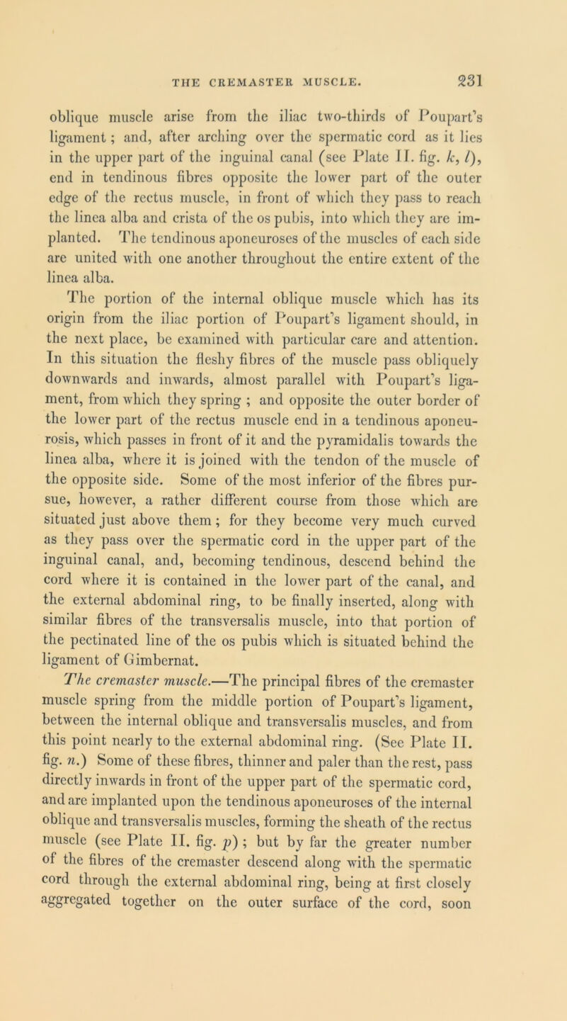 oblique muscle arise from the iliac two-thirds of Poupart’s ligament; and, after arching over the spermatic cord as it lies in the upper part of the inguinal canal (see Plate 11. fig. /c, /), end in tendinous fibres opposite the lower part of the outer edge of the rectus muscle, in front of which they pass to reach the linea alba and crista of the os pubis, into which they are im- planted. The tendinous aponeuroses of the muscles of each side are united with one another throughout the entire extent of the linea alba. The portion of the internal oblique muscle which has its origin from the iliac portion of Poupart’s ligament should, in the next place, be examined with particular care and attention. In this situation the fleshy fibres of the muscle pass obliquely downwards and inwards, almost parallel with Poupart’s liga- ment, from which they spring ; and opposite the outer border of the lower part of the rectus muscle end in a tendinous aponeu- rosis, which passes in front of it and the pyramidalis towards the linea alba, where it is joined with the tendon of the muscle of the opposite side. Some of the most inferior of the fibres pur- sue, however, a rather different course from those which are situated just above them; for they become very much curved as they pass over the spermatic cord in the upper part of the inguinal canal, and, becoming tendinous, descend behind the cord where it is contained in the lower part of the canal, and the external abdominal ring, to be finally inserted, along with similar fibres of the transversalis muscle, into that portion of the pectinated line of the os pubis which is situated behind the ligament of Gimbernat. The cremaster muscle.—The principal fibres of the cremaster muscle spring from the middle portion of Poupart’s ligament, between the internal oblique and transversalis muscles, and from this point nearly to the external abdominal ring. (See Plate II. fig. n.) Some of these fibres, thinner and paler than the rest, pass directly inwards in front of the upper part of the spermatic cord, and are implanted upon the tendinous aponeuroses of the internal oblique and transversalis muscles, forming the sheath of the rectus muscle (see Plate II. fig. p) ; but by far the greater number of the fibres of the cremaster descend along with the spermatic cord through the external abdominal ring, being at first closely together on the outer surface of the cord, soon