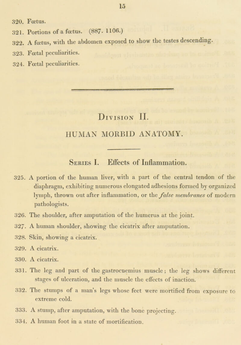 320. Foetus. 321. Portions of a foetus. (887- 1106.) 322. A foetus, with the abdomen exposed to show the testes descending. 323. Foetal peculiarities. 324. Foetal peculiarities. Division II. HUMAN MORBID ANATOMY. Series I. Effects of Inflammation. 325. A portion of the human liver, with a part of the central tendon of the diaphragm, exhibiting numerous elongated adhesions formed by organized lymph, thrown out after inflammation, or the false membranes of modern pathologists. 326. The shoulder, after amputation of the humerus at the joint. 327. A human shoulder, showing the cicatrix after amputation. 328. Skin, showing a cicatrix. 329. A cicatrix. 330. A cicatrix. 331. The leg and part of the gastrocnemius muscle; the leg shows different stages of ulceration, and the muscle the effects of inaction. 332. The stumps of a man’s legs whose feet were mortified from exposure to extreme cold. 333. A stump, after amputation, with the bone projecting. 334. A human foot in a state of mortification.