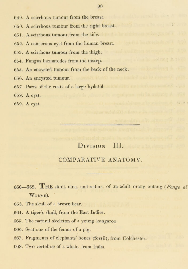 649. A scirrhous tumour from the breast. 650. A scirrhous tumour from the right breast. 651. A scirrhous tumour from the side. 652. A cancerous cyst from the human breast. 653. A scirrhous tumour from the thigh. 654. Fungus haematodes from the instep. 655. An encysted tumour from the back of the neck. 656. An encysted tumour. 657- Parts of the coats of a large hydatid. 658. A cyst. 659. A cyst. Division III. COMPARATIVE ANATOMY. 660—662. The skull, ulna, and radius, of an adult orang outang (Pongo of Wurmb). 663. The skull of a brown bear. 664. A tiger’s skull, from the East Indies. 665. The natural skeleton of a young kangaroo. 666. Sections of the femur of a pig. 667- Fragments of elephants’ bones (fossil), from Colchester. 668. Two vertebrae of a whale, from India.