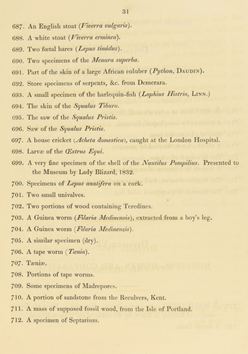 687- An English stoat (Viverra vulgaris). 688. A white stoat (Viverra ermined). 689. Two foetal hares (Lepus timidus). 690. Two specimens of the Menura superba. 691. Part of the skin of a large African coluber (Python, Daudin). 692. Store specimens of serpents, &c. from Demerara. 693. A small specimen of the harlequin-fish (Lophius Histrio, Linn.) 694. The skin of the Squalus Tiburo. 695. The saw of the Squalus Pristis. 696. Saw of the Squalus Pristis. 697* A house cricket (.Acheta domes tic a), caught at the London Hospital. 698. Larvae of the Oestrus Equi. 699. A very fine specimen of the shell of the Nautilus Pompilius. Presented to the Museum by Lady Blizard, 1832. 700. Specimens of Lepas anatifera on a cork. 701. Two small univalves. 702. Two portions of wood containing Teredines. 703. A Guinea worm (Filaria Medinensis), extracted from a boy’s leg. 704. A Guinea worm (Filaria Medinensis). 705. A similar specimen (dry). 706. A tape worm (Tania). 707. Taeniae. 708. Portions of tape worms. 709. Some specimens of Madrepores. 710. A portion of sandstone from the Reculvers, Kent. 711. A mass of supposed fossil wood, from the Isle of Portland. 712. A specimen of Septarium.