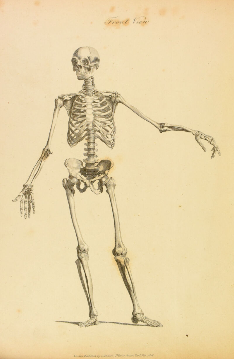 A/w/ / ( ') l.cm/ari Published hv J.Joh risen S'Pauls Church Yard Ccb.i.iCcC