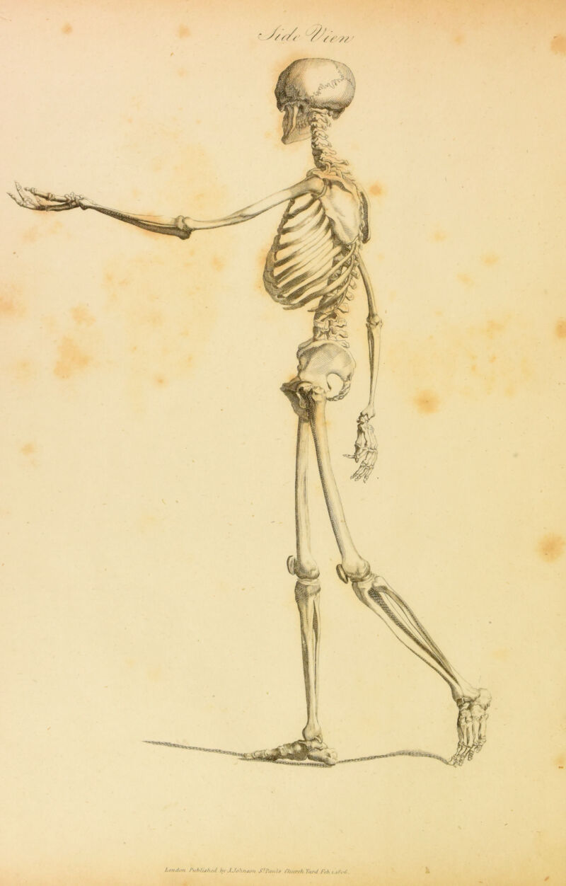 I. on don Published by .1 Johnson S'l'.tuls fliurehTard Frh. t.idod.