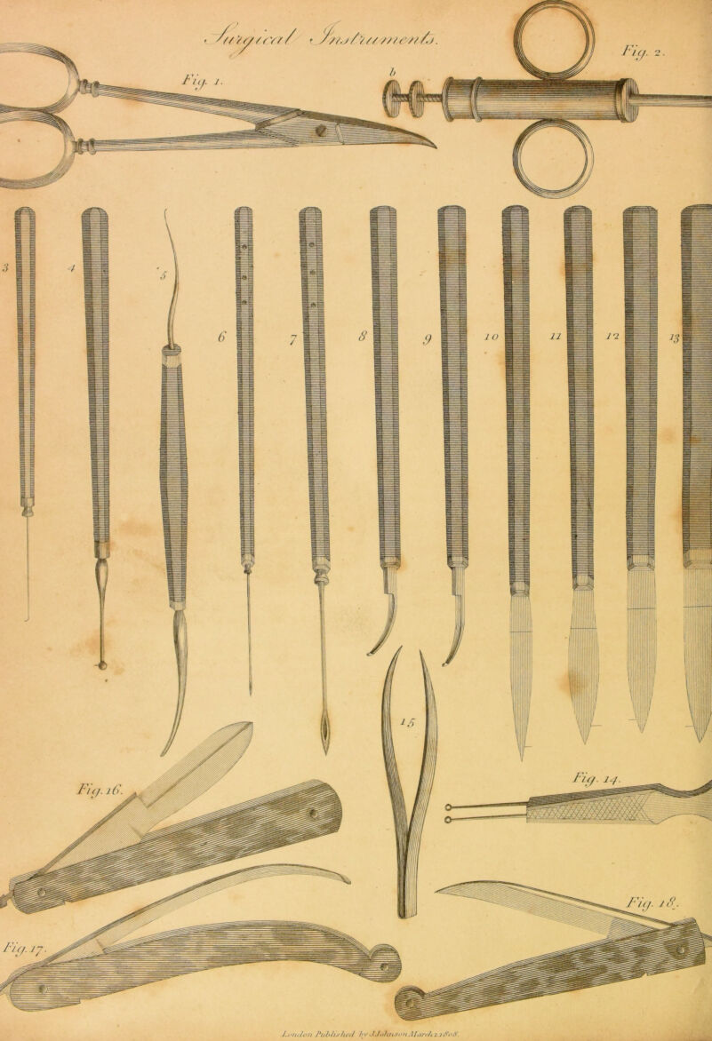 J. oriel on Published t*>' • Llohnson AI arch i.jfioti.