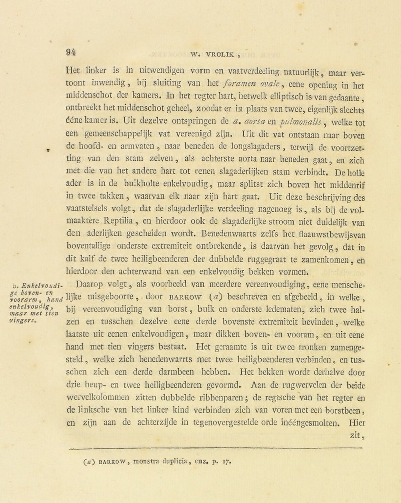 W. VROLIK , ö. Enkelvo udi- ge boyen- en voorarm, hand enkelvoudig, maar met tien vingers. Het linker is in uitwendigen vorm en vaatverdeeling natuurlijk, maar ver- toont inwendig, bij sluiting van het foramen ovale, eene opening in het middenschot der kamers. In het regter hart, hetwelk elliptisch is van gedaante, ontbreekt het middenschot geheel, zoodat er in plaats van twee, eigenlijk slechts ééne kamer is. Uit dezelve ontspringen de a. aorta en puim on al is , welke tot een gemeenschappelijk vat vereenigd zijn. Uit dit vat ontstaan naar boven de hoofd- en armvatcn, naar beneden de longslagaders , terwijl de voortzet- ting van den stam zelven, als achterste aorta naar beneden gaat, en zich met die van het andere hart tot cenen slagaderlijken stam verbindt. De holle ader is inde buikholte enkelvoudig, maar splitst zich boven het middenrif in twee takken, waarvan elk naar zijn hart gaat. Uit deze beschrijving des vaatstelsels volgt, dat de slagaderlijke verdeeling nagenoeg is, als bij de vol- maaktere Reptilia, en hierdoor ook de slagaderlijke stroom niet duidelijk van den aderlijken gescheiden wordt. Benedenwaarts zelfs het flaauwstbewijsvan boventallige onderste extremiteit ontbrekende, is daarvan het gevolg, dat in dit kalf de twee heiligbeenderen der dubbelde ruggegraat te zamenkomen, en hierdoor den achterwand van een enkelvoudig bekken vormen. Daarop volgt, als voorbeeld van meerdere vereenvoudiging, eene mensche- lijke misgeboorte, door barkow (a) beschreven en afgebeeld, in welke , bij vereenvoudiging van borst, buik en onderste ledematen, zich twee hal* zen en tusschen dezelve eene derde bovenste extremiteit bevinden, welke laatste uit eenen enkelvoudigen, maar dikken boven- en vooram, en uit eene hand met tien vingers bestaat. Het geraamte is uit twee tronken zamenge- steld, welke zich benedenwarrts met twee heiligbeenderen verbinden, en tus- schen zich een derde darmbeen hebben. Het bekken wordt derhalve door drie heup- en twee heiligbeenderen gevormd. Aan de rugwervelen der beide wervelkolommen zitten dubbelde ribbenparen; de regtsche van het regter en de linksche van het linker kind verbinden zich van voren met een borstbeen, en zijn aan de achterzijde in tegenovergestelde orde inééngesmolten. Hier zit, (<z) barkow, monstra duplicia, enz, p. 17.