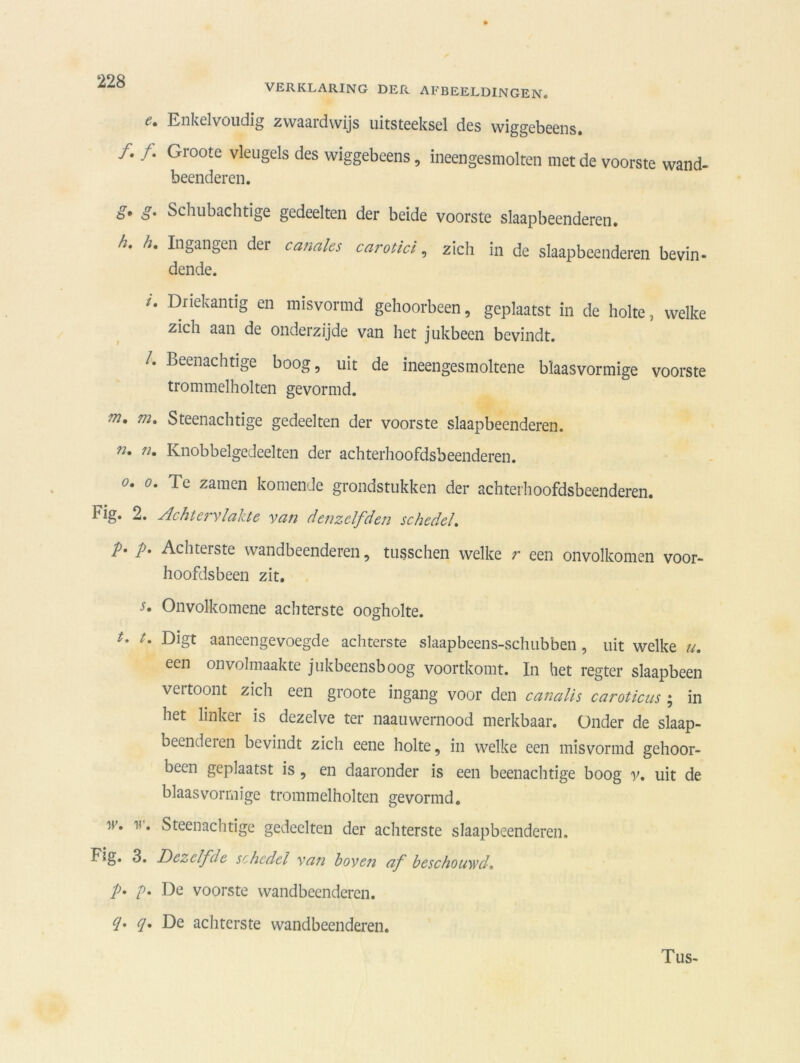 VERKLARING DER AFBEELDINGEN. c» Enkelvoudig zwaardwijs uitsteeksel des wiggebecns. /. f. Groote vleugels des wiggebeens, ineengesmolten met de voorste wand- beenderen. g. g. Schubachtige gedeelten der beide voorste slaapbeenderen. h. h. Ingangen der canules carotici, zich in de slaapbeenderen bevin- dende. Driekanti§ en misvormd gehoorbeen, geplaatst in de holte, welke zich aan de onderzijde van het jukbeen bevindt. /. Beenachtige boog, uit de ineengesmoltene blaasvormige voorste trommelholten gevormd. m' Steenachtige gedeelten der voorste slaapbeenderen. n' Knobbelgedeelten der achterhoofdsbeenderen. o. o. Te zamcn komende grondstukken der achterhoofdsbeenderen. Fig. 2. Achtervlakte van denzelfden schedel, p* p. Achterste wandbeenderen, tusschen welke r een onvolkomen voor- hoofdsbeen zit. s. Onvolkomene achterste oogholte. t. t. Digt aaneengevoegde achterste slaapbeens-schubben, uit welke u. een onvolmaakte jukbeensboog voortkomt. In het regter slaapbeen vei toont zich een groote ingang voor den canalis caroticus 5 in het linker is dezelve ter naauwernood merkbaar. Onder de slaap- beenderen bevindt zich eene holte, in welke een misvormd gehoor- been geplaatst is, en daaronder is een beenachtige boog v. uit de blaasvormige trommelholten gevormd. ü’. f . Steenachtige gedeelten der achterste slaapbeenderen. Fig. 3. Dezelfde schedel van boven af beschouwd. p. p. De voorste wandbeenderen. q. q. De achterste wandbeenderen. Tus-