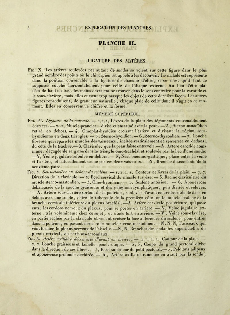 PLAJYCHE II. LIGATURE DES ARTÈRES. Fig. X. Les artères soulevées par autant de soncìes se voient sur eelte figure dans le plus grand nombre des points où le chirurgien est appelé à les découvrir. Le malade est représenté dans la position convenable à la ligature de chacune d’elles^, si ce n’est qu’il faut le supposer couché liorizontalement pour celle de l’iliaque externe. Au lieu d’ètre pla- cées de haut en bas , les mains devraient se trouver dans le sens contraire pour la carotide et la sous-clavière^ mais elles eussent trop masqué les objets de cette dentière facon. Lesaulres fìgures reproduisent, de grandeur nalurelle , chaque plaie de celle dont il s’agit en ce mo- ment. Elles en conservent le chifire et la forme. MEMBRE SUPÉRIEUR. Fig. ir*. Lìgalure de la carotide.— 1,1,1, Lèvres de la plaie des téguments convenablement écartées. — 2, 2, Muscle peaucier, divise et enlraìné avec la peau. — 3 , Sterno-mastoidien retiré en dehors. — 4, Omoplat-hyo'idien croisant l’arière et divisant la région sous- hyoidienne en deux triangles. ■— 5, Sterno-hjmidien.— 6 , Sterno-thyroidien. — 7 , Couche fibreuse qui séparé les muscles des vaisseaux , incisée verlicalement et renversée en dedans , du coté de la trachee.— 8, Clavieule, que la peau laisse entrevoir.— A, Artère carotide coni- mene, dégagée de sa gaine dans le triangle omo-trachéal et soulevée par le hec d’une sonde. —Y, Yeine jugulaire refoulée eri dehors. — N, Nerf pneumo-gastrique^ placé entre la veine et l’arière, et naturellemeut caché par ces deux vaisseaux. — N’, Branche descendante de la neuvième paire. Fig. 2. Sous-clavière en dehors du scalène. — 1, 1, 1, 1, Contour et lèvres de la plaie. — 7, 7, Direction de la clavieule. -— 2, Bord cervical du muscle trapèze. — 3, Racine claviculaire du muscle sterno-mastoidien. — 4, Omo-hyoidien. — 5, Scalène antérieur. — 6, Aponévrose débarrassée de la couche graisseuse et des ganglions lymphatiques, puis divisée et relevée. — A, Artère sous-clavière soriani de la poitrine , soulevée d’avant en arrièreetde de dans en dehors avec une sonde , entre le tubereule de la première còte ou le muscle scalène et la branche cervicale inférieure du plexus brachial. ■—A, Artère cervicale postérieure, qui passe entre lescordons nerveux du plexus, pour se porter en arrière. — Y, Yeine jugulaire ex- lerne , très volumineusc chez ce sujet_, et située fort en arrière. —Y’, Yeine sous-clavière^ en partie cachée par la clavieule et venant croiser la face antérieure du scalène, pour entree dans la poitrine, en passant derrière le muscle sterno-mastoidien. —N, N, N, Faisceaux qui vont former le plexus nerveux de l’aisselle.—N,N, Branches descendantes superficielles du plexus cervical, ou nerfssus-acromiaux. Fig. 3. Artère axdlaire découverte d’avant en arrière. — 1, 1, 1, 1, Contour de la plaie. — 2, 2, Couche graisseuse et lamelle aponévrotique. — 3,3, Coupé du grand pecloral divisò dans la direction de ses fibres. — 4, Bord supérieur du petit pectoral.— 5 , Pelolons adipeux et aponévrose profonde déchirée. — A , Artère axillaire ramenée en avant par la sonde,