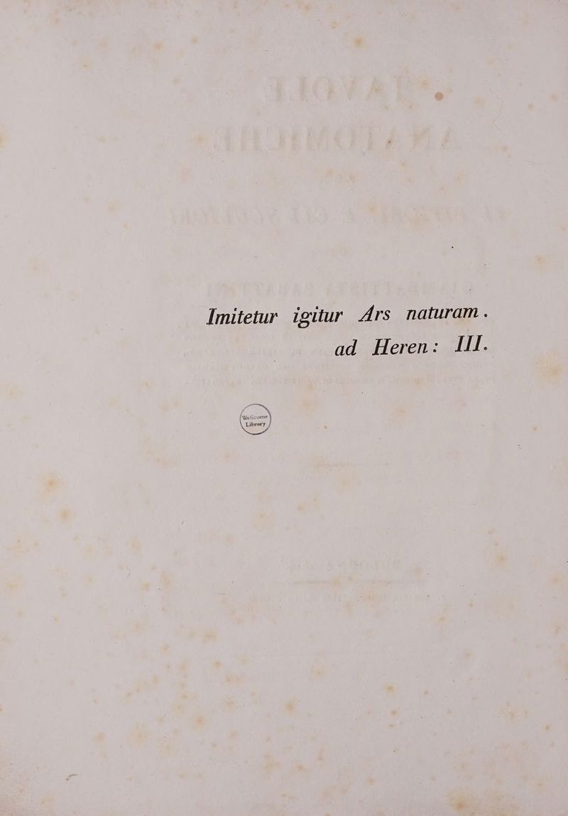 Imitetur igitur Ars rund. ad Heren: II. 8 J AS {Well Library /