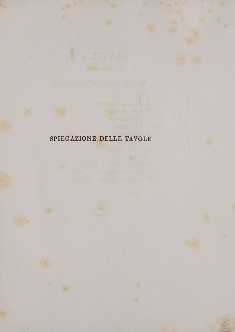 SPIEGAZIONE DELLE TAVOLE