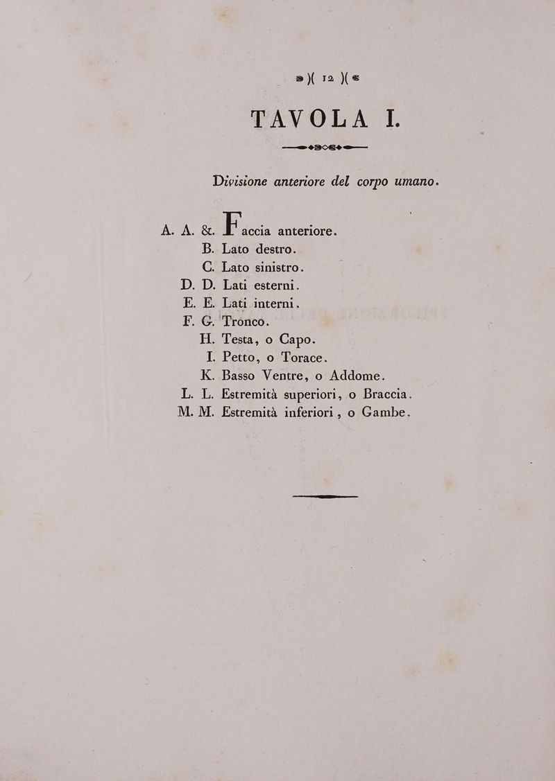 SETS TAVOLA LI. — 03vxSè = -— Divisione anteriore del corpo umano. A. A &amp;. F accia anteriore. B. Lato destro. C. Lato sinistro. D. Lati esterni. E. Lati interni. G. Tronco. H. Testa, o Capo. I. Petto, o Torace. K. Basso Ventre, o Addome. L. Estremità superiori, o Braccia.
