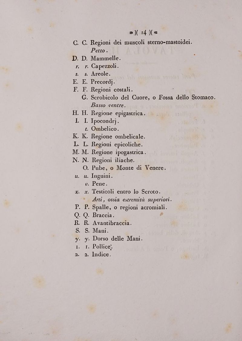 D. o? s. E. F. ZEPA —S S 8 Din RO Pag nre Petto . Mammelle. Basso ventre. Regione ipogastrica . Pube, o Monte di Venere. Pene. Arti, ossia estremità superiori. Spalle, o regioni acromiali. Braccia. È Mani. Indice.