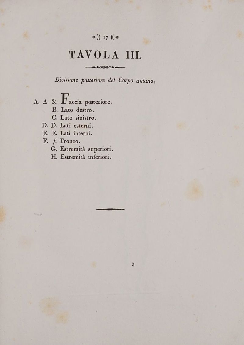 Hu »)\17)(e —_—> ®SBE0 tt, F accia posteriore. B. Lato destro. C. Lato sinistro. . D. Lati esterni. . E. Lati interni. . f. Tronco. G. Estremità superiori. H. Estremità inferiori. dI