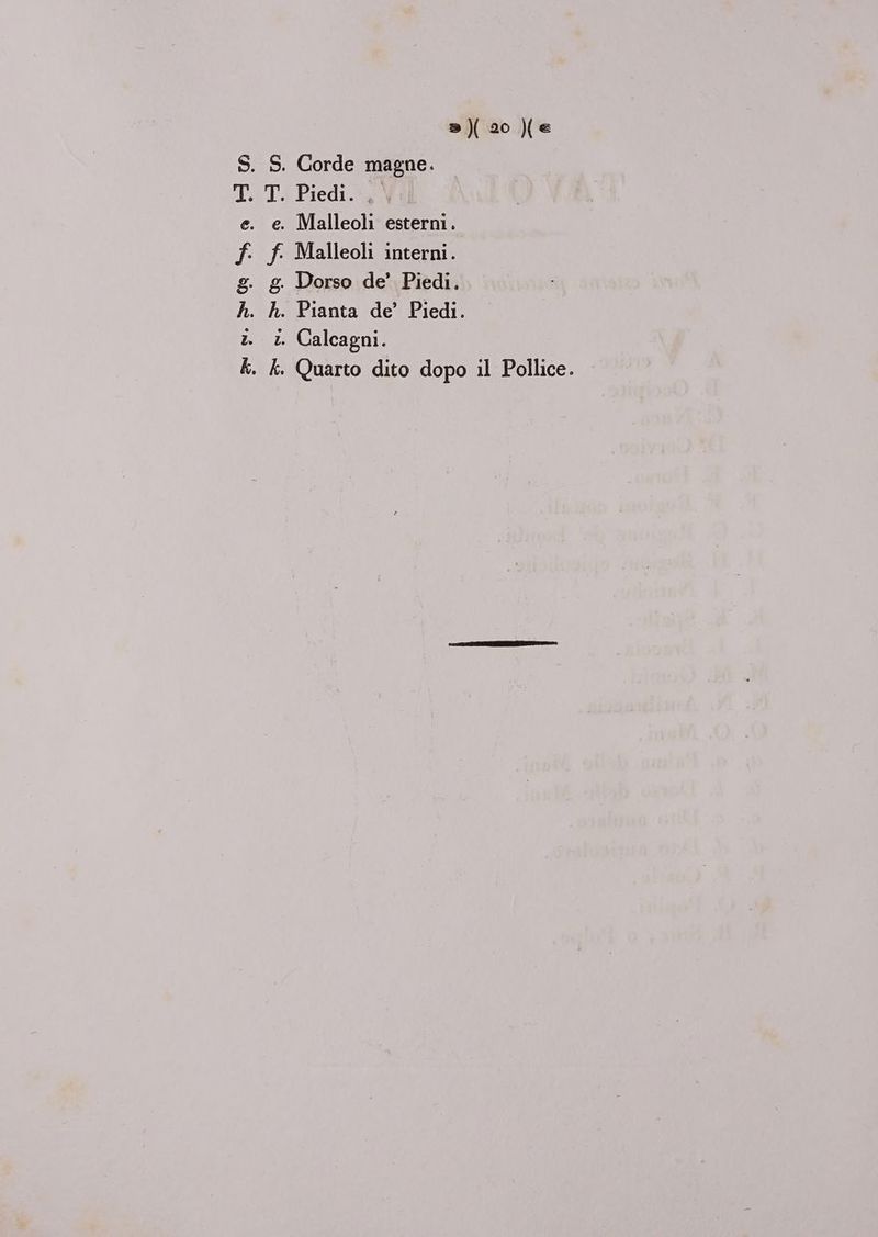S. S. Corde magne. T..T. Piedi.‘,° e. e. Malleoli esterni. f. f. Malleoli interni. g. g Dorso de’ Piedi, h. h. Pianta de’ Piedi. 2. 1 Calcagni. K. k. Quarto dito dopo il Pollice.