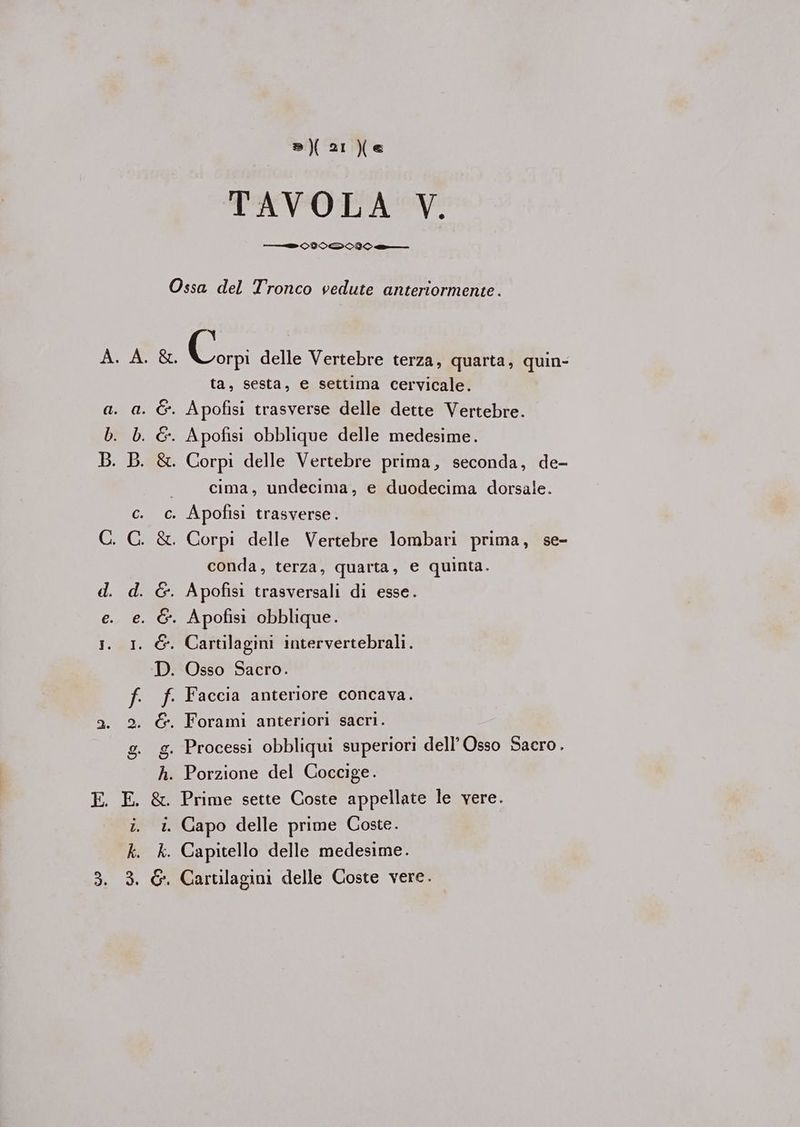 Leni ba Oa Per OPP Vi, HWw_ si »\ 21 TAVOLA V. e SID vlirolice Y Corpi delle Vertebre terza, quarta, quin- ta, sesta, e settima cervicale. cima, undecima, e duodecima dorsale. Apofisi trasverse . Corpi delle Vertebre lombari prima, se- conda, terza, quarta, e quinta. Osso Sacro. Faccia anteriore concava. Forami anteriori sacri. Prime sette Coste appellate le vere.
