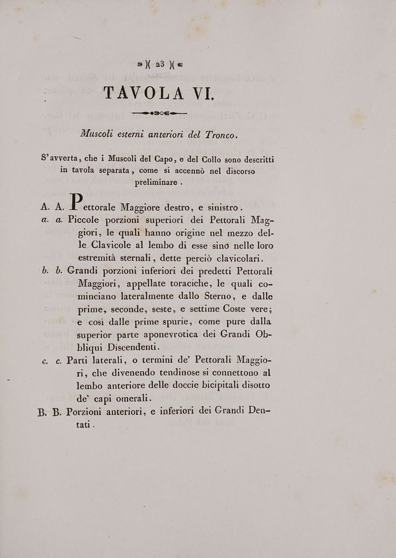 TAVOLA VI —> 306 e—_ Muscoli esterni anteriori del Tronco. S’avverta, che i Muscoli del Capo, e del Collo sono descritti in tavola separata, come si accennò nel discorso preliminare . A. A. p ettorale Maggiore destro, e sinistro . a. a. Piccole porzioni superiori dei Pettorali Mag- giori, le quali hanno origine nel mezzo del- le Clavicole al lembo di esse sino nelle loro estremità sternali, dette perciò clavicolari. b. b. Grandi porzioni inferiori dei predetti Pettorali Maggiori, appellate toraciche, le quali co- minciano lateralmente dallo Sterno, e dalle prime, seconde, seste, e settime Coste vere; e così dalle prime spurie, come pure dalla superior parte aponevrotica dei Grandi Ob- bliqui Discendenti. e. c. Parti laterali, o termini de’ Pettorali Maggio- ri, che divenendo tendinose si connettono al lembo anteriore delle doccie bicipitali disotto de’ capi omerali. B. B. Porzioni anteriori, e inferiori dei Grandi Den- tati.