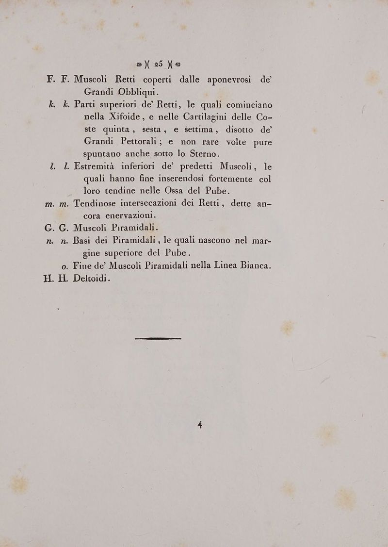 Grandi Obbliqui. nella Xifoide, e nelle Cartilagini delle Co- ste quinta, sesta, e settima, disotto de Grandi Pettorali; e non rare volte pure spuntano anche sotto lo Sterno. quali hanno fine inserendosi fortemente col loro tendine nelle Ossa del Pube. cora enervazioni. Muscoli Piramidali. Basi dei Piramidali , le quali nascono nel mar- gine superiore del Pube.
