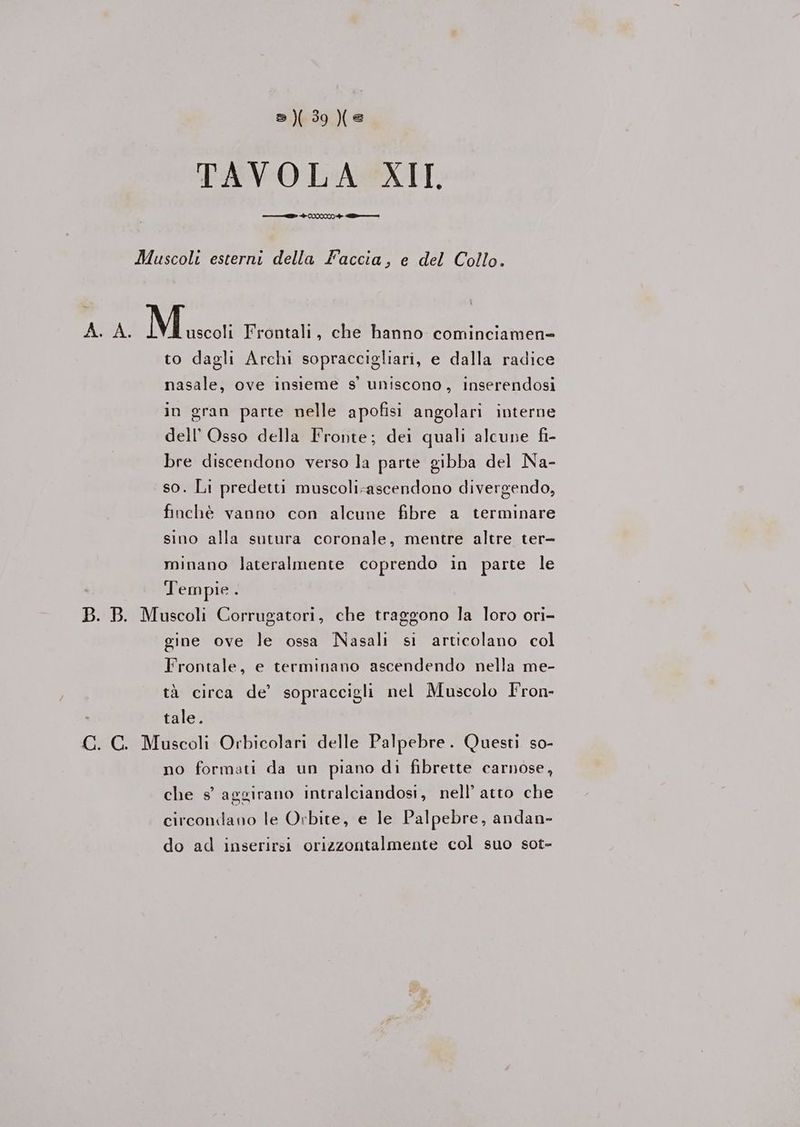 ®)(39)(© TAVOLA XII, e + VIN + n Muscoli esterni della Faccia, e del Collo. A. A. Misco Frontali, che hanno cominciamen= to dagli Archi sopraccigliari, e dalla radice nasale, ove insieme s' uniscono, inserendosi in gran parte nelle apofisi angolari interne dell Osso della Fronte; dei quali alcune fi- bre discendono verso la parte gibba del Na- so. Li predetti muscoli-ascendono divergendo, finchè vanno con alcune fibre a terminare sino alla sutura coronale, mentre altre ter- minano lateralmente coprendo in parte le Tempie. B. B. Muscoli Corrugatori, che traggono la loro ori- gine ove le ossa Nasali si articolano col Frontale, e terminano ascendendo nella me- tà circa de’ sopraccigli nel Muscolo Fron- tale. G. GC. Muscoli Orbicolari delle Palpebre. Questi so- no formati da un piano di fibrette carnose, che s° aggirano intralciandosi, nell’ atto che circondano le Orbite, e le Palpebre, andan- do ad inserirsi orizzontalmente col suo sot-