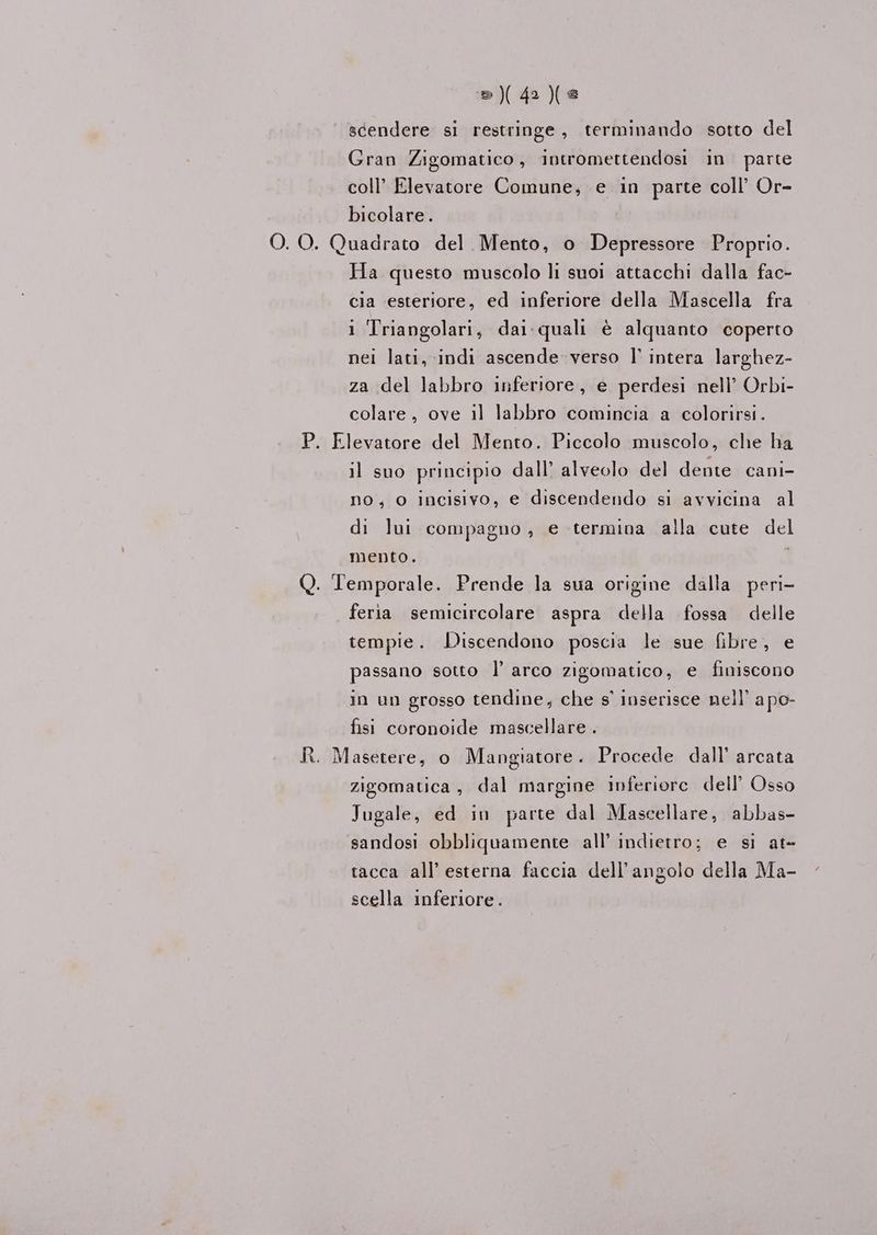 ®)(4)(s scendere si restringe, terminando sotto del Gran Zigomatico, intromettendosi in. parte coll’ Elevatore Comune, e in parte coll’ Or- bicolare. O. O. Quadrato del. Mento, o Depressore Proprio. Ha questo muscolo li suoi attacchi dalla fac- cia esteriore, ed inferiore della Mascella fra i Triangolari, dai:quali è alquanto coperto nei lati, indi ascende verso l’ intera larghez- za del labbro inferiore, e perdesi nell’ Orbi- colare, ove il labbro comincia a colorirsi. P. Elevatore del Mento. Piccolo muscolo, che ha il suo principio dall’ alveolo del dente cani- no, o incisivo, e discendendo si avvicina al di lui compagno, e termina alla cute del mento. i Q. Temporale. Prende la sua origine dalla peri- feria semicircolare aspra della fossa delle tempie. Discendono poscia le sue fibre, e passano sotto l’ arco zigomatico, e finiscono in un grosso tendine, che s' inserisce nell’ apo- fisi coronoide mascellare . R. Masetere, o Mangiatore. Procede dall’ arcata zigomatica, dal margine inferiore dell’ Osso Jugale, ed in parte dal Mascellare, abbas- sandosi obbliquamente all’ indietro; e sì at- tacca all’ esterna faccia dell'angolo della Ma- scella inferiore.