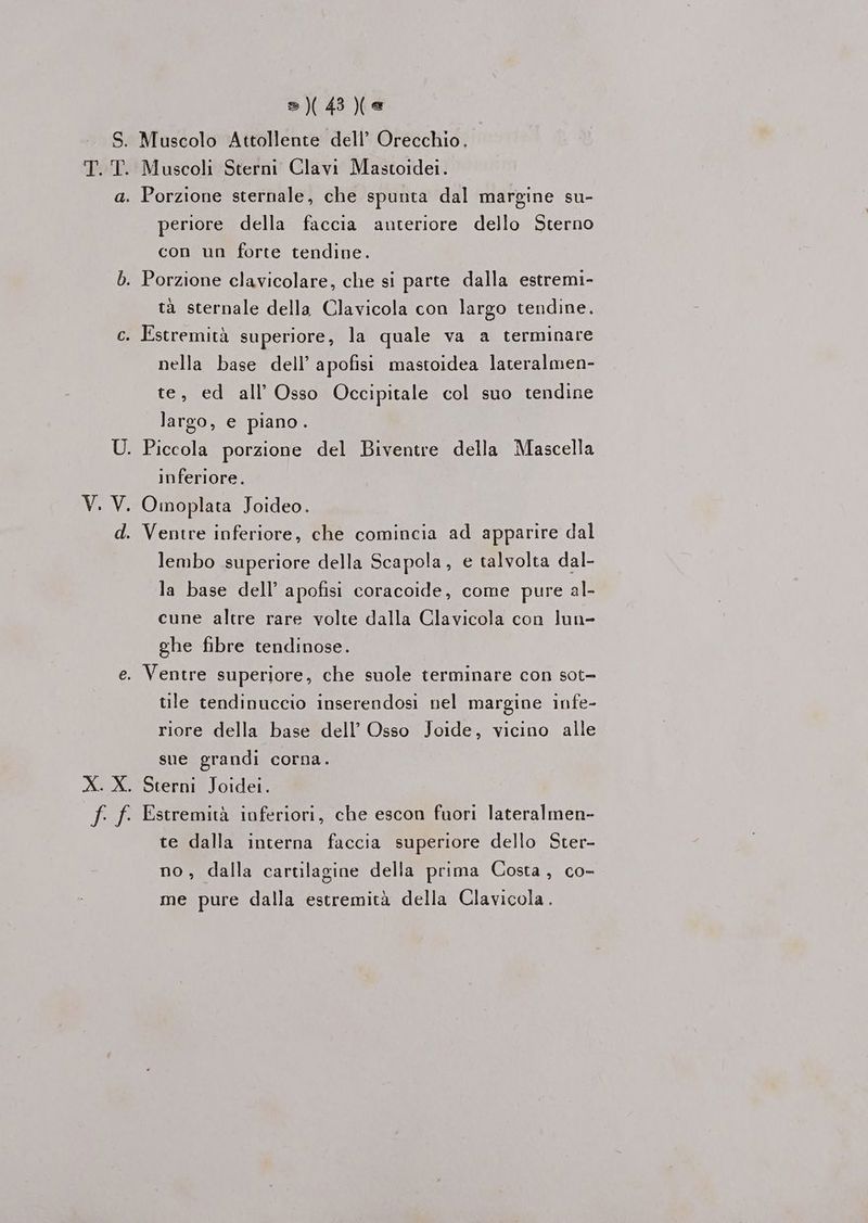 bd; tf =)(43)(e Muscolo Attollente dell’ Orecchio. periore della faccia anteriore dello Sterno con un forte tendine. tà sternale della Clavicola con largo tendine. Estremità superiore, la quale va a terminare nella base dell’ apofisi mastoidea lateralmen- te, ed all’ Osso Occipitale col suo tendine largo, e piano. inferiore. Ventre inferiore, che comincia ad apparire dal lembo superiore della Scapola, e talvolta dal- la base dell’ apofisi coracoide, come pure al- cune altre rare volte dalla Clavicola con lun- ghe fibre tendinose. Ventre superiore, che suole terminare con sot- tile tendinuccio inserendosi nel margine infe- riore della base dell’ Osso Joide, vicino alle sue grandi corna. Sterni Joidei. Estremità inferiori, che escon fuori lateralmen- te dalla interna faccia superiore dello Ster- no, dalla cartilagine della prima Costa, co- me pure dalla estremità della Clavicola.