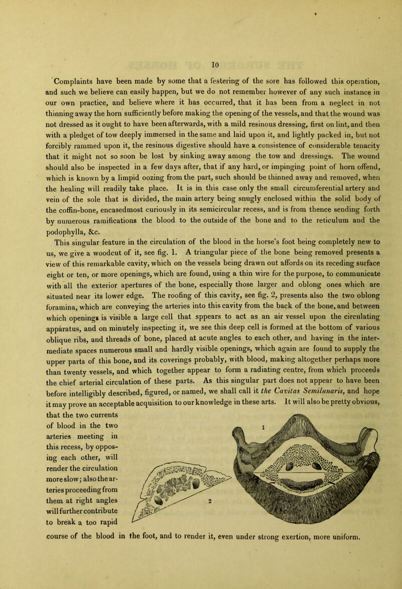 Complaints have been made by some that a festering of the sore has followed this operation, and such we believe can easily happen, but we do not remember however of any such instance in our own practice, and believe where it has occurred, that it has been from a neglect in not thinning away the horn sufficiently before making the opening of the vessels, and that the wound was not dressed as it ought to have been afterwards, with a mild resinous dressing, first on lint, and then with a pledget of tow deeply immersed in the same and laid upon it, and lightly packed in, but not forcibly rammed upon it, the resinous digestive should have a consistence of considerable tenacity that it might not so soon be lost by sinking away among the tow and dressings. The wound should also be inspected in a few days after, that if any hard, or impinging point of horn offend, which is known by a limpid oozing from the part, such should be thinned away and removed, when the healing will readily take place. It is in this case only the small circumferential artery and vein of the sole that is divided, the main artery being snugly enclosed within the solid body of the coffin-bone, encasedmost curiously in its semicircular recess, and is from thence sending forth by numerous ramifications the blood to the outside of the bone and to the reticulum and the podophylla, &c. This singular feature in the circulation of the blood in the horse’s foot being completely new to us, we give a woodcut of it, see fig. 1. A triangular piece of the bone being removed presents a view of this remarkable cavity, which on the vessels being drawn out affords on its receding surface eight or ten, or more openings, which are found, using a thin wire for the purpose, to communicate with all the exterior apertures of the bone, especially those larger and oblong ones which are situated near its lower edge. The roofing of this cavity, see fig. 2, presents also the two oblong foramina, which are conveying the arteries into this cavity from the back of the bone, and between which openings is visible a large cell that sppears to act as an air vessel upon the circulating apparatus, and on minutely inspecting it, we see this deep cell is formed at the bottom of various oblique ribs, and threads of bone, placed at acute angles to each other, and having in the inter- mediate spaces numerous small and hardly visible openings, which again are found to supply the upper parts of this bone, and its coverings probably, with blood, making altogether perhaps more than twenty vessels, and which together appear to form a radiating centre, from which proceeds the chief arterial circulation of these parts. As this singular part does not appear to have been before intelligibly described, figured, or named, we shall call it the Cavitas Semilunaris, and hope it may prove an acceptable acquisition to our knowledge in these arts. It will also be pretty obvious, that the two currents of blood in the two arteries meeting in this recess, by oppos- ipg each other, will render the circulation more slow; also the ar- teries proceeding from them at right angles will further contribute to break a too rapid course of the blood in the foot, and to render it, even under strong exertion, more uniform.