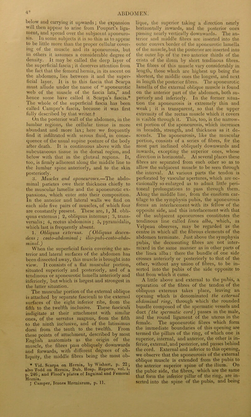 AHDOM KN. 4^ below and carrying it upwards; llie expansion will then appear to arise from I’ouparl’s liga- ment, and spread over the subjacent aponeuro- sis. In some subjects it is so thin as to appear to be little more than the pro))er cellular cover- ing of the muscle and its aponeurosis, but in others it assumes a considerable degree of density. It may be called the deep layer of the superficial fascia; it deserves attention from the fact that the femoral hernia, in its ascent on the abdomen, lies between it and the super- ficial layer. It is to this fascia that Scarpa must allude under the name of “ aponeurotic web of the muscle of the fascia lata,” and hence some have called it Scarpa’s fascia.'* The whole of the superficial fascia has been called Camper’s fascia, because it was first fully described by that writer.f ()n the posterior wall of the abdomen, in the lumbar regions, the cellular tissue is more abundant and more lax; here we frequently find it infiltrated with serous fluid, in conse- quence of the usual supine posture of the body after death. It is continuous above with the subcutaneous tissue in the dorsal region, and below with that in the glutreal regions. It, too, is firmly adherent along the middle line to the lumbar spine anteriorly, and to the skin posteriorly. ;i. Muscles and aponeuroses.—The abdo- minal parietes owe their thickness chiefly to the muscular lamellse and the aponeurotic ex- pansions, which enter into their composition. In the anterior and lateral walls we find on each side five pairs of muscles, of which four are constantly present. These are, 1, M. obli- quus externus; 2, obliquus interims; 3, trans- versalis; 4, rectus abdominis ; 5, pyraniidalis, which last is frequently absent. 1. Obliquus externus. (Obliquus descen- dens ; costo-abdorninal ; ilio-pubi-costo-abdo- minal.) When the superficial fascia covering the an- terior and lateral surfaces of the abdomen has been dissected away, this muscle is brought into view. It consists of a flat muscular portion, situated superiorly and posteriorly, and of a tendinous or aponeurotic lamella anteriorly and inferiorly, but which is largest and strongest in the latter situation. The muscular portion of the external oblique is attached by separate fasciculi to the external surfaces of the eight inferior ribs, from the fifth to the twelfth inclusive. These fasciculi indigitate at their attachment with similar ones, of the serratus magnus, from the fifth to the ninth inclusive, and of the latissimus dorsi from the tenth to the twelfth. From these points of attachment, described by most English anatomists as the origin of the muscle, the fibres pass obliquely downwards and forwards, with different degrees of ob- liquity, the middle fibres being the most ob- * Vid. Scarpa on Hernia, by Wishart, p. 22; also Todd on Hernia, Dub. Hosp. Reports, vol. i. p. 246; and Flood’s plates of Inguinal and Femoral Hernia. I Camper, leones Hprniarum, p. 11. liipie, the superior taking u direction ne:irly horizontally inwards, and the posterior ones passing nearly vertically downwards. The an- terior and middle fil)ies are inserted into the outer convex border of tlie aiioneurolic lamella of the muscle, but the posterior are inserted into the outer lip of the two anterior thirds of the crista of the ilium by short tendinous fibres. The fibres of this muscle vary considerably in length, those which are highest up being the shortest, the middle ones the longest, and next in length the posterior fibres. The aponeurotic lamella of the external oblique muscle is found on the anterior part of the abdomen, both su- periorly and inferiorly. In the former situa- tion the aponeurosis is extremely thin and weak ; it is transparent, so that the upper extremity of the rectus muscle which it covers is visible through it. This, too, is the narrow- est portion of the aponeurosis, which increases in breadth, strength, and thickness as it de- scends. The aponeurosis, like the muscular portion, consists of a series of fibres, for the most part inclined obliquely downwards and inwards, excepting the superior ones, whose direction is horizontal. At several places these fibres are separated from each other so as to allow the subjacent muscle to be seen through the interval. At various parts the tendon is perforated by vascular apertures, which are oc- casionally so enlarged as to admit little peri- toneal prolongations to pass through them. Along the middle line, from the ensiform car- tilage to the symphysis pubis, the aponeurosis forms an interlacement with its fellow of the opposite side, and this interlacement with that of the subjacent aponeuroses constitutes the tendinous line called linea alba, which, as Velpeau observes, may be regarded as the centre in which all the fibrous elements of the abdomen terminate. Just above the symphysis pubis, the decussating fibres are not inter- mixed in the same manner as in other parts of the linea alba : there the bundle of one side . crosses anteriorly or posteriorly to that of the other, without any union of fibres, to be in- serted into the pubis of the side opposite to that from which it came. A little above and external to the pubis, a separation of the fibres of the tendon of the obliquus externus takes place, leaving an opening which is denominated the external abdominal ring, through which the rounded bundle composed of the spermatic vessels and duct (the spermatic cord) passes in the male, and the round ligament of the uterus in the female. The aponeurotic fibres which form the immediate boundaries of this opening are termed the pillars of the ring, of which one is superior, internal, and anterior, the other is in- ferior, external, and posterior, and passes behind the cord. External and inferior to this opening, we observe that the aponeurosis of the external oblique muscle is extended from the pubis to the anterior superior spine of the ilium. On the pubic side, the fibres, which are the same that form the inferior pillar of the ring, are in- serted into the spine of the pubis, and being