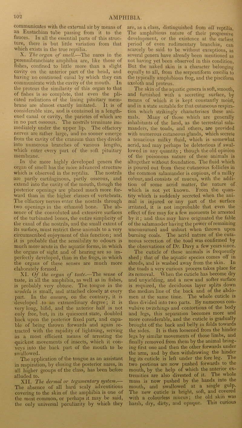 communicates with the external air by means of an Eustachian tube passing from it to the fauces. In all the essential parts of this struc- ture, there is but little variation from that which exists in the true reptilia. X. 2'/ic organ of smell.—The nares in the perennibranclhate amphibia are, like those of fishes, confined to little more than a slight cavity on the anterior part of the head, and having no continued canal by which they can communicate with the cavity of the mouth. In the proteus the similarity of this organ to that of fishes is so complete, that even the pli- cated radiations of the lining pituitary mem- brane are almost exactly imitated. It is of considerable size, and is contained in a length- ened canal or cavity, the parietes of which are in no part osseous. The nostrils terminate im- mediately under the upper lip. The olfactory nerves are rather large, and no sooner emerge from the cavity of the cranium than they divide into numerous branches of various lengths, which enter every part of the soft pituitary membrane. In the more highly developed genera the organ of smell has the more advanced structure which is observed in the reptilia. The nostrils are partly cartilaginous, partly osseous, and extend into the cavity of the mouth, though the posterior openings are placed much more for- ward than in the higher classes of vertebrata. The olfactory nerves enter the nostrils through two openings in the ethmoid bone. The ab- sence of the convoluted and extensive surfaces of the turbinated bones, the entire simplicity of the canal of the nostrils, and the small extent of its surface, must restrict these animals to a very circumscribed enjoyment of this function; and it is probable that the sensibility to odours is much more acute in the aquatic forms, in which the organs of sight and of hearing are so im- perfectly developed, than in the frogs, in which the organs of these senses are much more elaborately formed. XI. Of ike organ of taste.—The sense of taste, in all the amphibia, as well as in fishes, is probably very obtuse. The tongue in the urodela is small, and attached closely at every part. In the anourq, on the contrary, it is developed to an extraordinary degree; it is very long, bifid, and the anterior half is not only free, but, in its quiescent state, doubled back upon the posterior fixed part, and capa- ble of being thrown forwards and again re- tracted with the rapidity of lightning, serving as a most efficient means of arresting the quickest movements of insects, which it con- veys into the back part of the mouth to be swallowed. The application of the tongue as an assistant in respiration, by closing the posterior nares, in all higher groups of the class, has been before alluded to. XII. The dermal or tegumentary system.— The absence of all hard scaly adventitious covering to the skin of the amphibia is one of the most common, or perhaps it may be said, the only universal peculiarity by which they are, as a class, distinguished from all reptilia. The amphibious nature of their ])rogressive development, or the existence at the earliest period of even rudimentary branchiae, can scarcely be .said to be without exceptions, as several genera have already been mentioneil as not having yet been observed in this condition. But tlie naked skin is a character belonging equally to all, from the serpentiform coecilia to the typically amphibious frog, and the pisciform axoloth and proteus. The skin of thear|uatic genera is soft, .smooth, and furnished with a secreting surface, by means of which it is kept constantly moist, and in a state suitable for that cutaneous respira- tion which strikingly characterises these ani- mals. Many of tho.se which are generally inhabitants of the land, as the terrestrial sala- manders, the toads, and others, are provided with numerous cutaneous glands, which secrete a tenacious milky fluid, which is somewhat acrid, and may perhaps be deleterious if swal- lowed in any quantity ; though the old opinion of the poisonous nature of these animals is altogether without foundation. The fluid which is poured out from these cutaneous follicles in the common salamander is copious, of a milky colour, and consists of mucus, with the addi- tion of some acrid matter, the nature of which is not yet known. From the quan- tity which is suddenly secreted when the ani- mal is injured or any part of the surface irritated, it is not improbable that even the effect of fire may for a few moments be arrested by it; and thus may have originated the fable of the salamander having the power of remaining unconsumed and unhurt when thrown upon burning coals. The acrid nature of the cuta- neous secretion of the toad was confirmed by the observations of Dr. Davy a few years since. The cuticle of these animals is frequently shed; that of the aquatic species comes off in shreds, and is washed away from the skin. In the toads a very curious process takes place for its removal. When the cuticle has become dry and unyielding, and a new and softer surface is required, the deciduous layer splits down the median line of the back and of the abdo- men at the same time. The whole cuticle is thus divided into two parts. By numerous con- vulsive twitchings and contortions of the body and legs, this separation becomes more and more considerable, and the cuticle is gradually brought off the back and belly in folds towards the sides. It is then loosened from the hinder legs by similar movements of those limbs, and finally removed from them by the animal bring- ing first one and then the other forwards under the arm, and by then withdrawing the hinder leg its cuticle is left under the fore leg. 1 he two portions are now pushed forwards to the mouth, by the help of which the anterior ex- tremities are also divested of it. The whole mass is now pushed by the hands into the mouth, and swallowed at a single gulp. The new cuticle is bright, soft, and covered with a colourless mucus; the old skin was harsh, dry, dirty, and opaque. Ihis curious