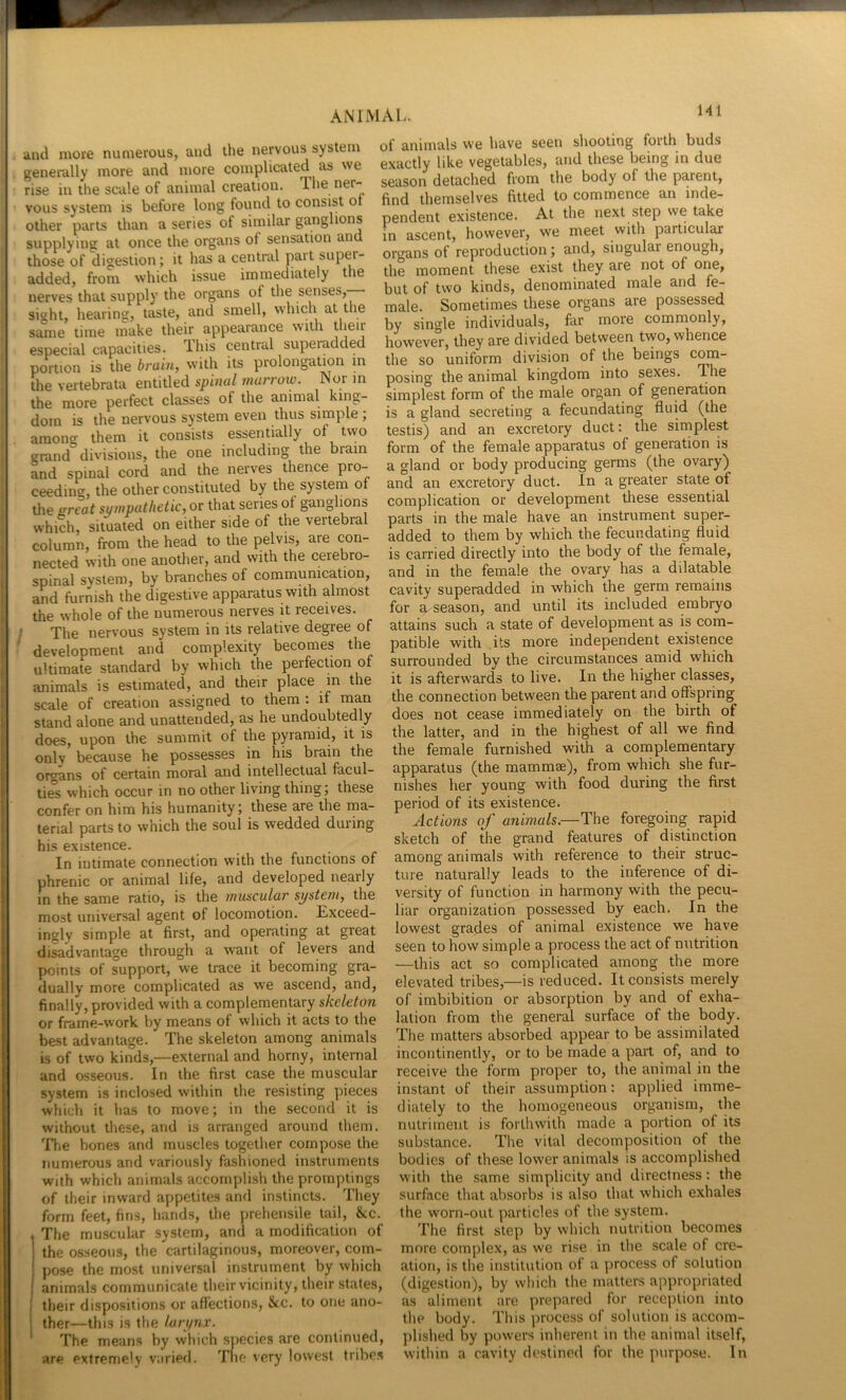 and more numerous, and the nervous system genemlly more and more complicated as we rise in the scale of animal creation. The ner- vous system is before long found to consist oi other parts than a series of similar ganglions supplying at once the organs of sensation and those of digestion; it has a central pait super- added, from which issue immediately the nerves that supply the organs of the senses,— sight, hearing, taste, and smell, which at the same time make their appearance with their especial capacities. This central superadded portion is the brain, with its prolongation m the vertebrata entitled sphud 7nurtow. JNoi in the more perfect classes of the animal king- dom is the nervous system even thus simple ; among them it consists essenUally of two grand divisions, the one including the brain and spinal cord and the nerves thence pro- ceeding, the other constituted by the system of tlie sreat sympathetic, or that series of ganglions which, situated on either side of the vertebral column, from the head to the pelvis, are con- nected with one another, and with the cerebro- spinal svstem, by branches of communication, and furnish the digestive apparatus with almost the whole of the numerous nerves it receives. ’ The nervous system in its relative degree of development and complexity becomes the ultimate standard by which the perfection of animals is estimated, and their place in the scale of creation assigned to them : if man i stand alone and unattended, as he undoubtedly I does, upon the summit of the pyramid, it is only because he possesses in his brain the i organs of certain moral and intellectual facul- 1 ties which occur in no other living thing; these ! confer on him his humanity; these are the ma- ! terial parts to which the soul is wedded during I his existence. I In intimate connection with the functions of i phrenic or animal life, and developed nearly ' in the same ratio, is the muscular system, the most universal agent of locomotion. Exceed- ingly simple at first, and operating at great disadvantage through a want of levers and points of support, we trace it becoming gra- dually more complicated as we ascend, and, finally, provided with a complementary skeleton or frame-work by means of which it acts to the best advantage. The skeleton among animals is of two kinds,—external and horny, internal and osseous. In the first case the muscular system is inclosed within the resisting pieces which it has to move; in the second it is without these, and is arranged around them, 'file bones and muscles together compose the numerous and variously fashioned instruments with which animals accomplish the promptings of their inward appetites and instincts. They form feet, fins, hands, the prehensile tail, &c. , The muscular system, and a modification of ; the osseous, the cartilaginous, moreover, com- 1 pose the most universal instrument by which ! animals communicate their vicinity, their states, i their dispositions or aflections, &c. to one ano- i ther—this is the larynx. The means by which snecies are continued, are extremely varied. The very lowest tribe.s of animals we have seen shooting forth buds exactly like vegetables, and these being in due season detached from the body of the parent, find themselves fitted to commence an inde- pendent existence. At the next step we take in ascent, however, we meet vvith particul^ organs of reproduction j and, singular enough, the moment these exist they are not of one, but of two kinds, denominated male and fe- male. Sometimes these organs are possessed by single individuals, far more commonly, however, they are divided between two, whence the so uniform division of the beings posing the animal kingdom into sexes. The simplest form of the male organ of generation is a gland secreting a fecundating fluid (the testis) and an excretory duct: the simplest form of the female apparatus of generation is a gland or body producing germs (the ovary) and an excretory duct. In a greater state of complication or development these essential parts in the male have an instrument super- added to them by which the fecundating fluid is carried directly into the body of the female, and in the female the ovary has a dilatable cavity superadded in which the germ remains for a season, and until its included embryo attains such a state of development as is com- patible with its more independent existence surrounded by the circumstances amid which it is afterwards to live. In the higher classes, the connection between the parent and offspring does not cease immediately on the birth of the latter, and in the highest of all we find the female furnished with a complementary apparatus (the mammae), from which she fur- nishes her young with food during the first period of its existence. Actions of animals.—The foregoing rapid sketch of the grand features of distinction among animals with reference to their struc- ture naturally leads to the inference of di- versity of function in harmony with the pecu- liar organization possessed by each. In the lowest grades of animal existence we have seen to how simple a process the act of nutrition —this act so complicated among the more elevated tribes,—is reduced. It consists merely of imbibition or absorption by and of exha- lation from the general surface of the body. The matters absorbed appear to be assimilated incontinently, or to be made a part of, and to receive the form proper to, the animal in the instant of their assumption: applied imme- diately to the homogeneous organism, the nutriment is forthwith made a portion of its substance. The vital decomposition of the bodies of these lower animals is accomplished with the same simplicity and directness: the surface that absorbs is also that which exhales the worn-out particles of the system. The first step by which nutrition becomes more complex, as we ri.se in the scale of cre- ation, is the institution of a process of solution (digestion), by which the matters appropriated as aliment are prepared for reception into the body. This process of solution is accom- plished by powers inherent in the animal itself, within a cavity destined for the purpose. In