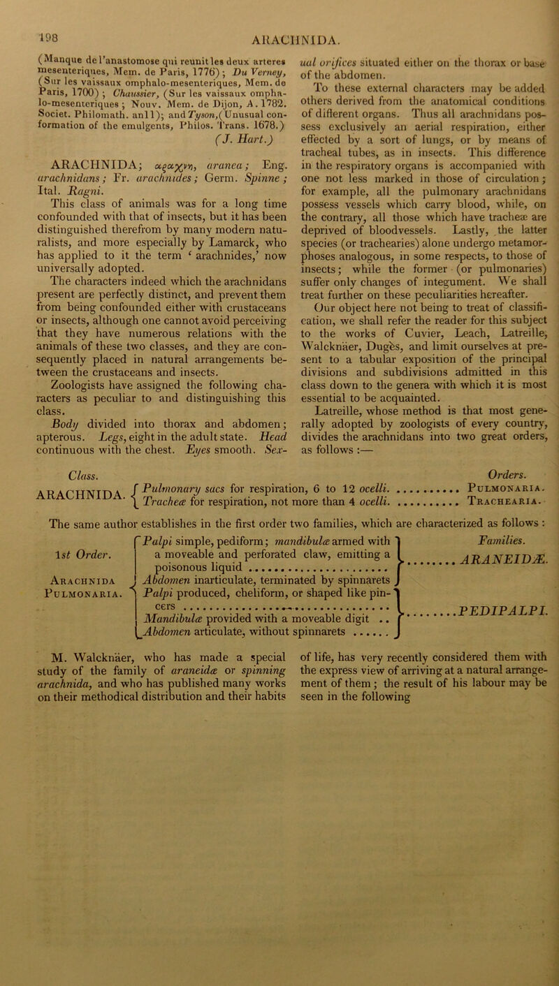 AliACliNlDA. (Manque del’anastomose qiii reunities deux arteres mesenteriques. Mein, de Paris, 1776)', Du Vemey, (Sur les vaissaux omphalo-mesenteriques, Mcm.de Paris, 1700) ; Chaussier, (S ur les vaissaux ompha- lo-mesentcriques ; Nouv. Mem. de Dijon, A. 1782. Societ. Philomath, anil); and 7yson,(Unusual con* formation of the emulgents, Philos, Trans. 1678.) (J. Hart.) ARACHNIDA; a^a.^vvi, aranea; Eng. (17'achmdans; Fr, arachnides; Germ. Spinne ; Ital. Rag7ii. Tliis class of animals was for a long time confounded with that of insects, but it has been distinguished therefrom by many modem natu- ralists, and more especially by Lamarck, who has applied to it the term ‘ arachnides,’ now universally adopted. The characters indeed which the arachnidans present are perfectly distinct, and prevent them fl ora being confounded either with crustaceans or insects, although one cannot avoid perceiving that they have numerous relations with the animals of these two classes, and they are con- sequently placed in natural arrangements be- tween the crustaceans and insects. Zoologists have assigned the following cha- racters as peculiar to and distinguishing this class. Bodp divided into thorax and abdomen; apterous. Legs, eight in the adult state. Head continuous with the chest. Eyes smooth. Sex- ual orifices situated either on the thorax or base of the abdomen. To these external characters may be added others derived from the anatomical conditions of different organs. Thus all arachnidans pos- sess exclusively an aerial respiration, either effected by a sort of lungs, or by means of tracheal tubes, as in insects. This difference in the respiratory organs is accompanied with one not less marked in those of circulation; for example, all the pulmonary arachnidans possess vessels which caiTy blood, while, on the contrary, all those which have trachea are deprived of bloodvessels. Lastly, ,the latter species (or trachearies) alone undergo metamor- phoses analogous, in some respects, to those of insects; while the former (or pulmonaries) suffer only changes of integument. We shall treat further on these peculiarities hereafter. Our object here not being to treat of classifi- cation, we shall refer the reader for this subject to the works of Cuvier, Leach, Latreille, Walcknaer, Dugbs, and limit ourselves at pre- sent to a tabular exposition of the principal divisions and subdivisions admitted in this class down to the genera vvith which it is most essential to be acquainted. Latreille, whose method is that most gene- rally adopted by zoologists of every country, divides the arachnidans into two great orders, as follows :— Class. Orders. ARAGHNinA /sacs for respiration, 6 to 12 ocelli Pulmonaria. ■ \ Trachea for respiration, not more than 4 ocelli Trachearia. The same author establishes in the first order two families, which are characterized as follows : Is^ Order. Arachnida Pulmonaria. ~Palpi simple, pediform; armed with ' a moveable and perforated claw, emitting a I poisonous liquid f Abdo77ien inarticulate, terminated by spinnarets ^ Palpi produced, chelifonn, or shaped like pin- cers MaTfidihula provided with a moveable digit .. * ^Ahdo77ien articulate, without spinnarets PaiTiilies. ARANEIDM. PEDIPALPL M. Walcknaer, who has made a special study of the family of araneida or spinning arachnida, and who has published many works on their methodical distribution and their habits of life, has very recently considered them with the express view of arriving at a natural arrange- ment of them; the result of his labour may be seen in the following