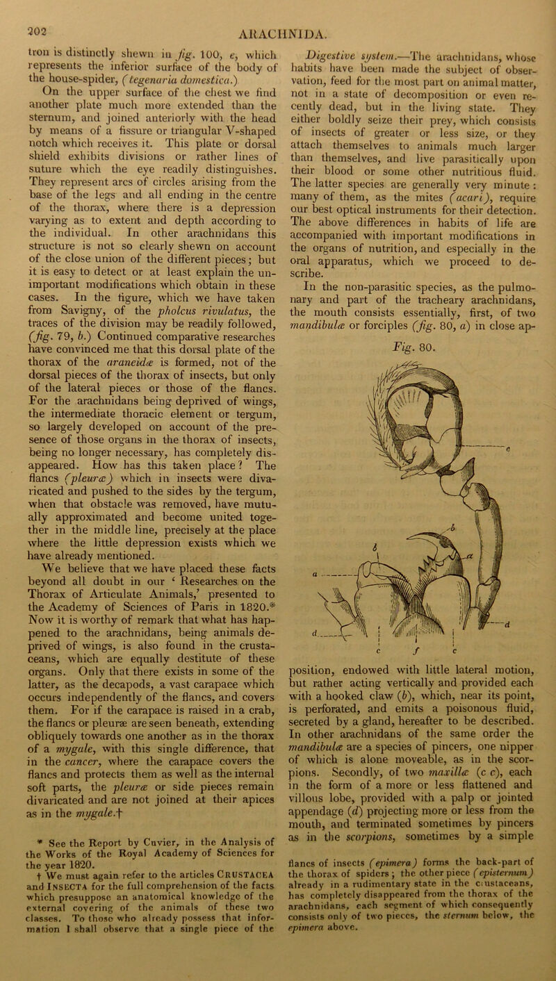 302 Iron is distinctly shewn in Jig. 100, e, which represents the inferior surface of the body of the house-spider, (tegenuria domestica.') On the upper surface of the cliest we find another plate much more extended than the sternum, and joined anteriorly with the head by means of a fissure or triangular V-shaped notch which receives it. This plate or dorsal shield exhibits divisions or rather lines of suture which the eye readily distinguishes. They represent arcs of circles arising from the base of the legs and all ending in the centre of the thorax, where there is a depression varying as to extent and depth according to the individual. In other arachnidans this structure is not so clearly shewn on account of the close union of the different pieces; but it is easy to detect or at least explain the un- important modifications which obtain in these cases. In the ffgure, which we have taken from Savigny, of the pholcus rivulatus, the traces of the division may be readily followed, (Jig. 79, h.) Continued comparative researches have convinced me that this dorsal plate of the thorax of the araneidee is formed, not of the dorsal pieces of the thorax of insects, but only of the lateral pieces or those of the ffancs. For the arachnidans being deprived of wings, the intermediate thoracic element or tergum, so largely developed on account of the pre- sence of those organs in the thorax of insects, being no longer necessary, has completely dis- appeared. How has this taken place? The ffancs (pleura) which in insects were diva- ricated and pushed to the sides by the tergum, when that obstacle was removed, have mutu- ally approximated and become united toge- ther in the middle line, precisely at the place where the little depression exists which we have already mentioned. We believe that we have placed these facts beyond all doubt in our ‘ Researches on the Thorax of Articulate Animals,’ presented to the Academy of Sciences of Paris in 1820.'*^ Now it is worthy of remark that what has hap- pened to the arachnidans, being animals de- prived of wings, is also found in the crusta- ceans, which are equally destitute of these organs. Only that there exists in some of the latter, as the decapods, a vast carapace which occurs independently of the ffancs, and covers them. For if the carapace is raised in a crab, the ffancs or pleurae are seen beneath, extending obliquely towards one another as in the thorax of a mygale, with this single difference, that in the cancer, where the carapace covers the ffancs and protects them as well as the internal soft parts, the pleura or side pieces remain divaricated and are not joined at their apices as in the mygale.\ * See the Report by Cuvier, in the Analysis of the Works of the Royal Academy of Sciences for the year 1820. t We must again refer to the articles CRUSTACEA and INSECTA for the full comprehension of the facts ■which presuppose an anatomical knowledge of the external covering of the animals of these two classes. To those who already possess that infor- mation 1 shall observe that a single piece of the Digestive system.—The arachnidans, whose habits have been made the subject of obser- vation, feed for the most part on animal matter, not in a state of decomposition or even re- cently dead, but in the living state. They either boldly seize their prey, which consists of insects of greater or less size, or they attach themselves to animals much larger than themselves, and live parasitically upon their blood or some other nutritious fluid. The latter species are generally very minute : many of them, as the mites (acari), require our best optical instruments for their detection. The above differences in habits of life are accompanied with important modifications in the organs of nutrition, and especially in the oral apparatus, which we proceed to de- scribe. In the non-parasitic species, as the pulmo- nary and part of the tracheary arachnidans, the mouth consists essentially, first, of two mandihula or forciples (jig. 80, a) in close ap- Fig. 80. position, endowed with little lateral motion, but rather acting vertically and provided each with a hooked claw (6), which, near its point, is perforated, and emits a poisonous fluid, secreted by a gland, hereafter to be described. In other arachnidans of the same order the mandihula are a species of pincers, one nipper of which is alone moveable, as in the scor- pions. Secondly, of two maxilla (c c), each in the form of a more or less flattened and villous lobe, provided with a palp or jointed appendage (d) projecting more or less from the mouth, and terminated sometimes by pincers as in the scorpions, sometimes by a simple flancs of insects (epimera) forms the back-part of the thorax of spiders ; the other piece (ephternum) already in a rudimentary state in the ciustaceans, has completely disappeared from the thorax of the arachnidans, each segment of which consequently consists only of two pieces, the sternum below, the epimera above.