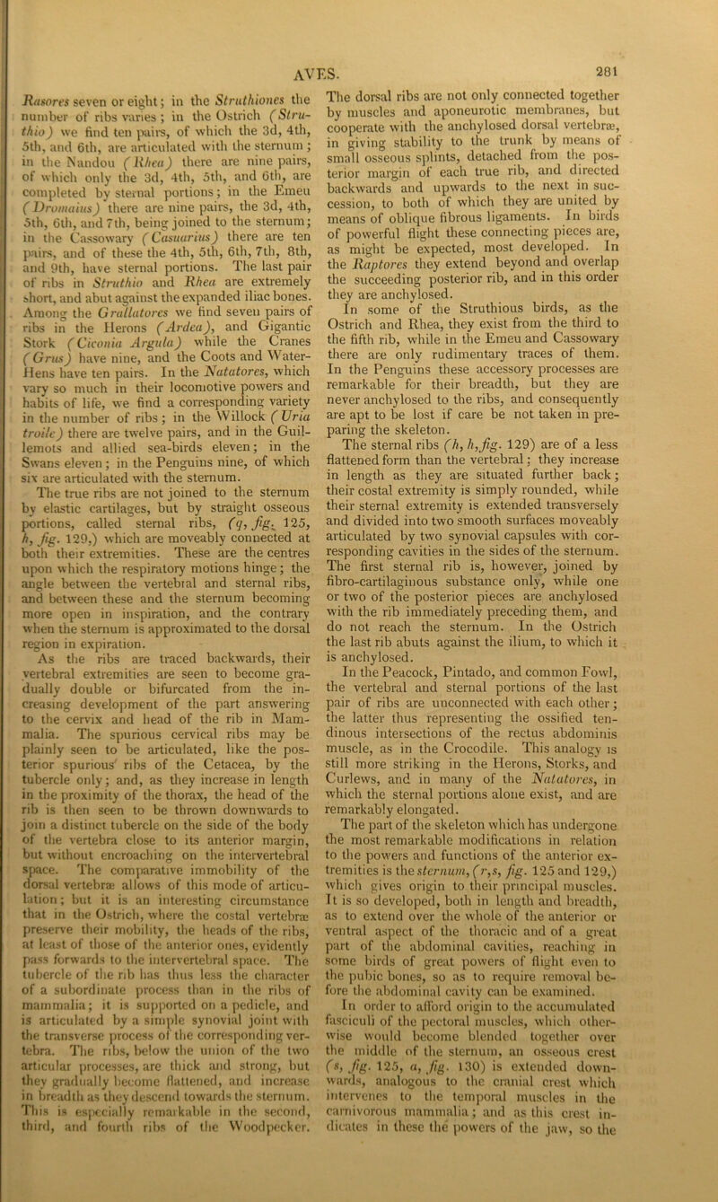 seven or eight; in the Struthiones the number of ribs varies ; in the Ostrich (Stru- thio) we find ten pail’s, of which the 3d, 4th, 5th, and 6th, are articulated with the sternum ; in the Nandou (Rhea) there are nine pairs, of wliich only the 3d, 4th, 5th, and 6th, are completed by sternal portions; in the Emeu ( Vromuius) there are nine pairs, the 3d, 4th, 5th, 6th, and 7th, being joined to the sternum; in the Cassowary (Casuai'ius) there are ten pairs, and of these the 4th, 5th, 6th, 7th, 8th, and 9th, have sternal portions. The last pair of ribs in Struthio and Rhea are extremely short, and abut against the expanded iliac bones. Among the Grallatores we find seven pairs of ribs in the Herons (Ardea), and Gigantic Stork (Ciconia Argula) while tlie Cranes (Grm) have nine, and the Coots and Water- Hens have ten pairs. In the Natatores, which vary so much in their locomotive powers and habits of life, we find a corresponding variety in the number of ribs; in the Willock (Uria troile) there are twelve pairs, and in the Guil- lemots and allied sea-birds eleven; in the Swans eleven ; in the Penguins nine, of which six are articulated w'ith the sternum. The true ribs are not joined to the sternum by elastic cartilages, but by straight osseous portions, called sternal ribs, (q, fig-^ 125, h, fig. 129,) which are moveably connected at both their extremities. These are the centres upon which the respiratory motions hinge; the angle between the vertebral and sternal ribs, and between these and the sternum becoming more open in inspiration, and the contrary when the sternum is approximated to the dorsal region in expiration. As the ribs are traced backwards, their vertebral extremities are seen to become gra- dually double or bifurcated from the in- creasing development of the part answering to the cervix and head of the rib in Mam- malia. The spurious cervical ribs may be plainly seen to be articulated, like the pos- terior spurious' ribs of the Cetacea, by the tubercle only; and, as they increase in length in the proximity of the thorax, the head of the rib is then seen to be thrown downwards to join a distinct tubercle on the side of the body of the vertebra close to its anterior margin, but without encroaching on the intervertebral space. The comjiarative immobility of the dorsal vertebra: allows of this mode of articu- lation ; but it is an interesting circumstance that in the Ostrich, where the costal vertebra: preserve their mobility, the heads of the ribs, at least of those of the anterior ones, evidently pass forwards to the intervertebral space. The tubercle of the nb lias thus le.ss the clmracter of a subordinate process than in the ribs of mammalia; it is supported on a pedicle, and is articulated by a simple synovial joint with the transverse process of the corresponding ver- tebra. The ribs, below the union of the two articular processes, are thick and strong, but they gradually become flattened, and increase in breadth as they descend towards the sternum. 'I’his is especially remarkable in the second, thirrl, and fourth ribs of the Woodpecker. The dorsal ribs are not only connected together by muscles and aponeurotic membranes, but cooperate with the anchylosed dorsal vertebras, in giving stability to the trunk by means of small osseous splints, detached from the pos- terior margin of each true rib, and directed backwards and upwards to the next in suc- cession, to both of which they are united by means of oblique fibrous ligaments. In birds of powerful flight these connecting pieces are, as might be expected, most developed. In the Raptores they extend beyond and overlap the succeeding posterior rib, and in this order they are anchylosed. In some of the Struthious birds, as the Ostrich and Rhea, they exist from the third to the fifth rib, w'hile in the Emeu and Cassowary there are only rudimentary traces of them. In the Penguins these accessory processes are remarkable for their breadth, but they are never anchylosed to the ribs, and consequently are apt to be lost if care be not taken in pre- paring the skeleton. The sternal ribs (h, h,fg. 129) are of a less flattened form than the vertebral; they increase in length as they are situated further back; their costal extremity is simply rounded, while their sternal extremity is extended transversely and divided into two smooth surfaces moveably articulated by two synovial capsules with cor- responding cavities in the sides of the sternum. The first sternal rib is, however, joined by fibro-cartilaginous substance only, while one or two of the posterior pieces are anchylosed with the rib immediately preceding them, and do not reach the sternum. In the Ostrich the last rib abuts against the ilium, to which it is anchylosed. In the Peacock, Pintado, and common Fowl, the vertebral and sternal portions of the last pair of ribs are unconnected with each other; the latter thus representing the ossified ten- dinous intersections of the rectus abdominis muscle, as in the Crocodile. This analogy is still more striking in the Herons, Storks, and Curlews, and in many of the Nalatoixs, in which the sternal portions alone exist, and are remarkably elongated. The part of the skeleton which has undergone the most remarkable modifications in relation to the powders and functions of the anterior ex- tremities is the sternum, (r,s, fig. 125 and 129,) which gives origin to their principal muscles. It is so developed, both in length and breadth, as to extend over the whole of the anterior or ventral aspect of the thoracic and of a gi-eat part of the abdominal cavities, reaching in some birds of great powers of flight even to the pubic bones, so as to require removal be- fore the abdominal cavity can be e.xaniined. In order to ailbrd origin to the accumulated fasciculi of the pectoral muscles, which other- wise would become blended togetlier over the middle of the sternum, an osseous crest (s, fg. \2!i, a, fig. 130) is extended down- wards, analogous to the cranial crest which intervenes to the temporal muscles in tlie carnivorous mammalia; and as this crest in- dicates in these the \iowcrs of the jaw, so the