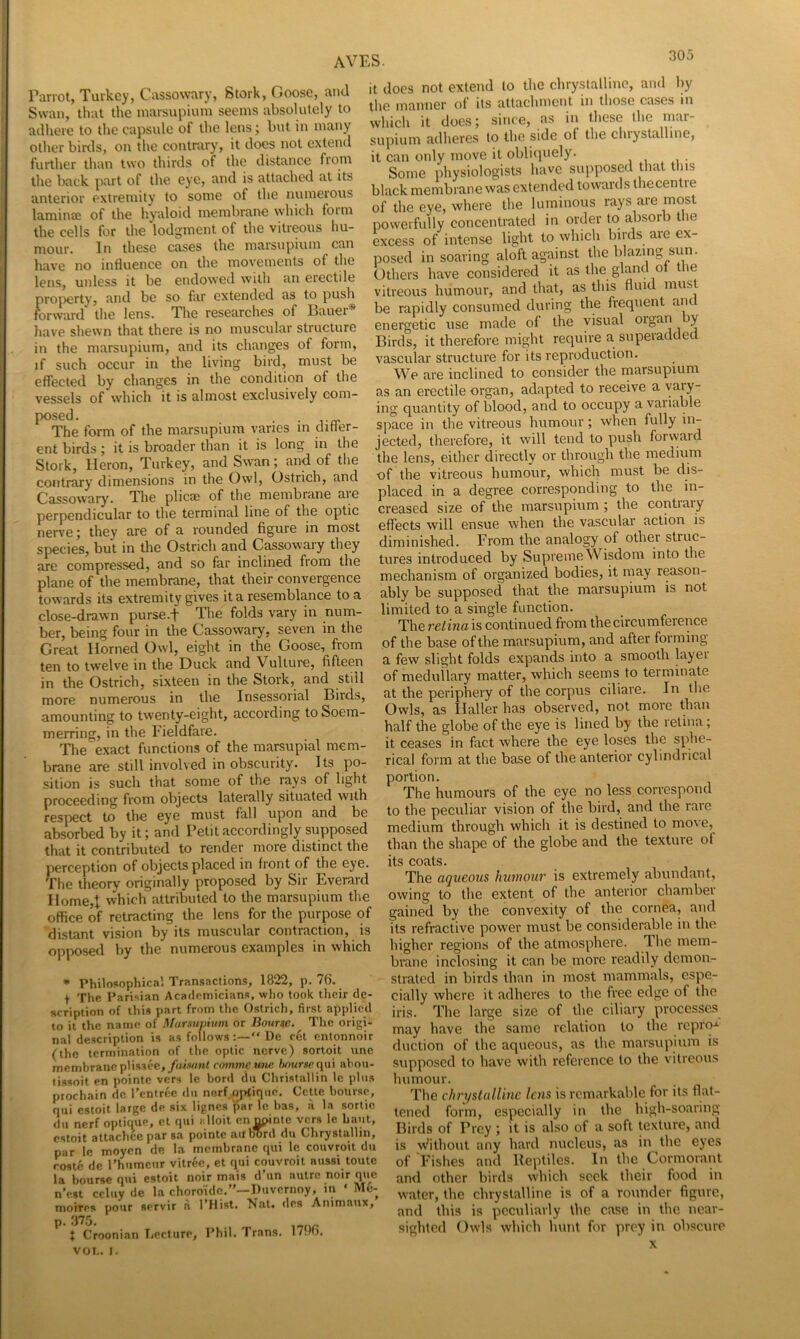 Parrot, Turkey, Cassowary, Stork, Goose, and Swan, that the inarsupium seems absolutely to adhere to the capsule of the lens; but in many other birtls, on the contrary, it does not extend further than two thirds of the distance from the back part of the eye, and is attached at its anterior extremity to some of the numeious laminaj of the liyaloid membrane which foim the cells for the lodgment of the vitreous liu- mour. In these cases the marsupium can have no influence on the movements of the lens, unless it be endowed with an eiectde proiierty, and be so far extended as to push forward the lens. The researches of Bauer* have shewn that there is no muscular structure in the marsupium, and its changes of form, if such occur in the living bird, must be effected by changes in the condition of the vessels of which it is almost exclusively com- posed. . . The form of the marsupium varies in clitter- ent birds j it is broader than it is long in the Stork, Heron, Turkey, and Swan; and of the contrary' dimensions in the Owl, Ostrich, and Cassowary. The plicai of the membrane aie perpendicular to the terminal line of the optic nerve 5 they are of a rounded figure in most species, but in the Ostrich and Cassowary they are compressed, and so far inclined from the plane of the membrane, that their convergence towards its extremity gives it a resemblance to a close-drawn purse.-f The folds vary in num- ber, being four in the Cassowary, seven in the Great Horned Owl, eight in the Goose, from ten to twelve in the Duck and Vultui'e, fifteen in the Ostrich, sixteen in the Stork, and still more numerous in the Insessorial Birds, amounting to twenty-eight, according toSoem- merring, in the Fieldfare. The'exact functions of the marsupial mem- brane are still involved in obscurity. Its po- sition is such that some of the rays of light proceeding from objects laterally situated with respect to the eye must fall upon and be absorbed by it; and Petit accordingly supposed that it contributed to render more distinct the perception of objects placed in front of the eye. The theory originally proposed by Sir Everard Home,t which attributed to the marsupium the office of retracting the lens for the purpose of “distant vision by its muscular contraction, is opposed by the numerous examples in which • Philosophical Transactions, 1822, p, 76. t The Parisian Academicians, who took their de- scription of this part from the Ostrich, first applied to it the name of Mursumum or Bourse. The origi- nal description is as followsDe c6t entonnoir (the termination of the optic nerve) sortoit une membrane plis3ec,/«M«nt rommeune l>nuriieqm ahou- tissoit en pointe vers le bord du Christallin Ic plus prochain de I’cntrcc du norf aptique. CcUc bourse, qiii estoit large de six lignes par le bas, ii la sortie dll nerf optique, cl qui 1 lloit en^nte vers le baut, estoit attachee par sa pointe atf liord du Chrystallin, par Ic moycn de la membrane qui le couvroit du rostc de I’humcur vitrec, et qui couvroit aussi toule la bourse qui estoit noir mais d’un autre noir que n’est ccluy de la choroidc.”—Duvernoy, in ‘ M6- morres pour servir a I’Hist. Nat. des Animaux, p. 375. t Croonian ficcture, Phil, Trans. 17.«). VOL. I. it does not extend to the chrysialline, and by the manner of its attachment in those cases in which it docs; since, as in these the mar- supium adheres to the side of the chiystalline, it can only move it obliquely. Some physiologists have supposed that this black membrane was extended towards thecentre of the eye, where the luminous rays are most powerfully concentrated in order to absorb the excess of intense light to which birds are ex- posed in soaring aloft against the blazing sun. Others have considered it as the gland of tlie vitreous humour, and that, as this fluid must be rapidly consumed during the frequent and energetic use made of the visual organ y Birds, it therefore might require a superadded vascular structure for its reproduction. We are inclined to consider the marsupium as an erectile organ, adapted to receive a vary- ing quantity of blood, and to occupy available space in the vitreous humour; when fully in- jected, therefore, it will tend to push forward the lens, either directly or through the medium of the vitreous humour, which must be dis- placed in a degree corresponding to the in- creased size of the marsupium ; the contiaiy effects will ensue when the vascular action is diminished. From the analogy of other struc- tures introduced by Supreme Wisdom into the mechanism of organized bodies, it may reason- ably be supposed that the marsupium is not limited to a single function. The retina is continued from the circumference of the base of the marsupium, and after forming a few slight folds expands into a smooth layei of medullary matter, which seems to terminate at the periphery of the corpus ciliare. In the Owls, as Haller has observed, not more than half the globe of the eye is lined by the retina; it ceases in fact where the eye loses the sphe- rical form at the base of the anterior cylindrical portion. The humours of the eye no less correspond to the peculiar vision of the bird, and the rare medium through which it is destined to move, than the shape of the globe and the texture of its coats. The aqueous humour is extremely abundant, owing to the extent of the anterior chambei gained by the convexity of the cornea, and its refractive power must be considerable in the higher regions of the atmosphere. The mem- brane inclosing it can be more readily demon- strated in birds than in most mammals, espe- cially where it adheres to the free edge of the iris. The large size of the ciliary processes may have the same relation to the repro-^ duction of the aqueous, as the marsvqfium is supposed to have with reference to the vitreous humour. The chrr/stallinc lais is remarkable for its flat- tened form, especially in the high-soaring Birds of Frey ; it is also of a soft texture, and is 3Vithout any hard nucleus, as in the eyes of Fishes and Reptiles. In the Cormorant and other birds which seek their food in water, the chrysialline is of a rounder figure, and this is peculiarly the case in the near- sighted Owls which hunt for prey in obscure X