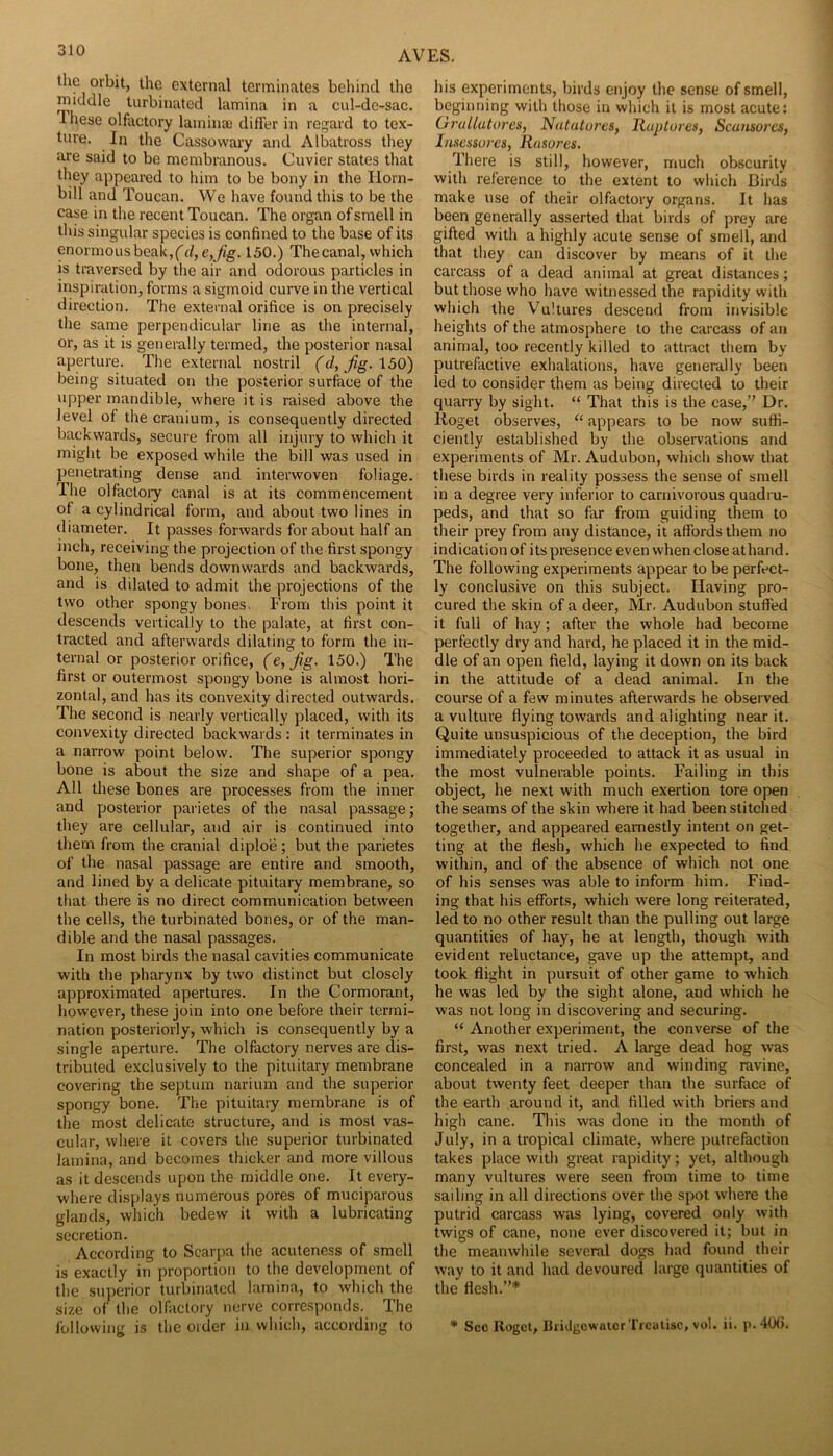 tlie orbit, the external terminates behind the middle turbinated lamina in a cul-de-sac. These olfactory lamina! differ in regard to tex- ture. In the Cassowary and Albatross they are said to be membranous. Cuvier states that they appeared to him to be bony in the Horn- bill and Toucan. We have found this to be the case in the recent Toucan. The organ of smell in this singular species is confined to the base of its enormous beak,d,e,Jig. 150.) The canal, which is traversed by the air and odorous particles in inspiration, forms a sigmoid curve in the vertical direction. The external orifice is on precisely the same perpendicular line as the internal, or, as it is generally termed, the posterior nasal aperture. The external nostril (d, Jig. 150) being situated on the posterior surfkce of the upper mandible, where it is raised above the level of the cranium, is consequently directed backwards, secure from all injury to which it might be exposed while the bill was used in penetrating dense and interwoven foliage. The olfactoiy canal is at its commencement of a cylindrical form, and about two lines in diameter. It passes forwards for about half an inch, receiving the projection of the first spongy bone, then bends downwards and backwards, and is dilated to admit the projections of the two other spongy bones. From this point it descends vertically to the palate, at first con- tracted and afterwards dilating to form the in- ternal or posterior orifice, (e,Jig. 150.) The first or outermost spongy bone is almost hori- zontal, and has its convexity directed outwards. The second is nearly vertically placed, with its convexity directed backwards : it terminates in a narrow point below. Tlie superior spongy bone is about the size and shape of a pea. All these bones are processes from the inner and posterior parietes of the nasal passage; they are cellular, and air is continued into them from the cranial diploe; but the parietes of the nasal passage are entire and smooth, and lined by a delicate pituitary membrane, so that there is no direct communication between the cells, the turbinated bones, or of the man- dible and the nasal passages. In most birds the nasal cavities communicate with the pharynx by two distinct but closely approximated apertures. In the Cormorant, however, these join into one before their termi- nation posteriorly, which is consequently by a single aperture. The olfactory nerves are dis- tributed exclusively to the pituitary membrane covering the septum narium and the superior spongy bone. The pituitary membrane is of the most delicate structure, and is most vas- cular, where it covers the superior turbinated lamina, and becomes thicker and more villous as it descends upon the middle one. It every- where displays numerous pores of muciparous glands, which bedew it with a lubricating secretion. According to Scarpa the acuteness of smell is exactly in proportion to the development of the superior turbinated lamina, to which the size of the olfactory nerve corresponds. The following is the order in which, according to his experiments, birds enjoy the sense of smell, beginning with those in which it is most acute: Ondlutores, Natuturcs, Ruploies, Scansores, Insesso7-cs, Rusores. There is still, however, much obscurity with reference to the extent to which Birds make use of their olfactory organs. It has been generally asserted that birds of prey are gifted with a highly acute sense of smell, and that they can discover by means of it the carcass of a dead animal at great distances; but those who have witnessed the rapidity with which the Vultures descend from invisible heights of the atmosphere to the carcass of an animal, too recently killed to attract them by putrefactive exhalations, have generally been led to consider them as being directed to their quarry by sight. “ That this is the case,” Dr. Roget observes, “ appears to be now suffi- ciently established by the observations and experiments of Mr. Audubon, which show that these birds in reality possess the sense of smell in a degree very inferior to carnivorous quadru- peds, and that so far from guiding them to their prey from any distance, it affords them no indication of its presence even when close at hand. The following experiments appear to be perfect- ly conclusive on this subject. Having pro- cured the skin of a deer, Mr. Audubon stuffed it full of hay; after the whole had become perfectly dry and hard, he placed it in the mid- dle of an open field, laying it down on its back in the attitude of a dead animal. In the course of a few minutes afterwards he observed a vulture flying towards and alighting near it. Quite unsuspicious of the deception, the bird immediately proceeded to attack it as usual in the most vulnerable points. Failing in this object, he next with much exertion tore open the seams of the skin where it had been stitched together, and appeared earnestly intent on get- ting at the flesh, which he expected to find within, and of the absence of which not one of his senses was able to inform him. Find- ing that his efforts, which were long reiterated, led to no other result than the pulling out large quantities of hay, he at length, though with evident reluctance, gave up the attempt, and took flight in pursuit of other game to which he was led by the sight alone, and which he was not long in discovering and securing. “ Another experiment, the converse of the first, was next tried. A large dead hog was concealed in a narrow and winding ravine, about twenty feet deeper than the surface of the earth around it, and filled with briers and high cane. Tliis was done in the month of July, in a tropical climate, where putrefaction takes place with great rapidity; yet, although many vultures were seen from time to time sailing in all directions over the spot where the putrid carcass was lying, covered only with twigs of cane, none ever discovered it; but in the meanwhile several dogs had found their way to it and had devoured large quantities of the flesh.”* ♦ See Roget, Bridgewater Treutise, vol. li. p. 4(Xi.