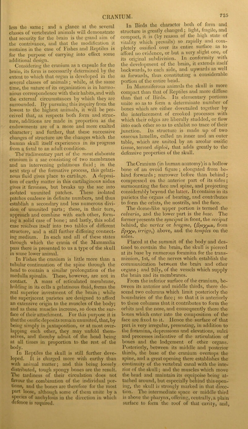 less the same; and a glance at the seveml classes of vertcbraled animals will demonstrate that security for the brain is tlie urand aim of the contrivance, and that tlie modification it sustains in the case of Fishes and Reptiles is for the jHirpose of carrying into effect some additional design. Considering the emnium as a capsule for the brain, its form is necessarily determined by the extent to wliich that organ is developed in tlie several classes of animals; while, at the same time, the nature of its organization is in harmo- nious correspondence with their habits,and with the external circumstances by which they aie surrounded. By pursuing this im|uiry from the lowest to the highest animals, it will be per- ceived that, as respects both form and struc- ture, additions are made in proportion as the endowments are of a more and more exalted character; and further, that these successive changes of structure are the changes which the human skull itself experiences in its progress from a foetal to an adult condition. The rudimentary part of the most elaborate cranium is a sac consisting of two membranes and an intervening gelatinous tluid; in the next step of the formative process, this gelati- nous fluid gives place to cartilage. A deposi- tion of earthy matter in this cartilaginous nidus gives it firmness, but breaks up the sac into isolated ununited patches. These isolated patches coalesce in definite numbers, and thus establish a secondary and less numerous divi- sion of ununited parts; these, in their turn, approach and combine with each other, form- ing a solid case of bone; and lastly, this solid case resolves itself into two tables of difi'erent structure, and a still further differing connect- ing medium. In each and all of these states through which the crania of the Mammalia pass there is presented to us a type of the skull in some low'er animal. In Fishes the cranium is little more than a tubular continuation of the spine through the head to contain a similar prolongation of the medulla spinalis. These, however, are not in contact. A mass of reticulated membrane, holding in its cells a gelatinous Huid, forms the real superior investment of the brain; while the superjacent parietes are designed to afford an extensive origin to the muscles of the body; and as these muscles increase, so does the sur- face of their attacliment. For this purpose it is that the ossific deposits remain ununited, that, by being simply in juxtaposition, or at most over- lapping each other, they may unfold them- selves, and thereby admit of the head being at all times in proportion to the rest of the body. In Reptiles the skull is still further deve- loped. It is charged more with earthy than with animal matter; and this being loosely distributed, tough spongy bones are the result. Tlie tardiness of their circulation does not favour the combination of the individual por- tions, and the bones are therefore for the most part loose, although some of them unite by a s|X3cies of anchylosis in the direction in which defence is required. 725 In Birds the character both of form and structure is greatly changed; light,fragile, and compact, it is (by reason of the high state of vitality which prevails) so rapidly and com- pletely ossified over its entire surface as to afford no evidence, or but a very slight one, of its original subdivision. In conformity with the development of the brain, it extends itself backwards, to each side, and upwards as well as fonvards, thus constituting a considemble portion of the entire head. In IMaramiferous animals the skull is more compact than that of Reptiles and more diffuse than that of Birds. Its elementary portions unite so as to form a determinate number of bones which are either dovetailed together by the interlacement of crooked processes with which their edges are liberally studded, or tlow into each other so as to exhibit no trace of their junction. Its structure is made up of two osseous lamellfc, called an inner and an outer table, which are united by an areolar ossific tissue, termed diplde, that adds greatly to the defensive properties of the skull. The Cranium (in human anatomy) is a hollow bone of an ovoid figure; elongated from be- hind forwards; narrower before than behind; compressed on the anterior part of its sides; surmounting the face and spine, and projecting consideral)ly beyond the latter. It contains in its parietes the organs c»f hearing, and contributes to form the orbits, the nostrils, and the face. The dome-like upper portion is termed the calvaria, and the lower part is the base. Tlie former presents the si/nciput in front, the occiput behind, the vertex or bregma, from hr/go,) above, and the temples on the sides. Placed at the summit of the body and des- tined to contain the brain, the skull is pierced at its base by numerous foramina for the trans- mission, 1st, of the nerves which establish the communication between the brain and other organs; and 2dly, of the vessels which supply tlie brain and its membranes. From the inferior surface of the cranium, be- tween its anterior and middle thirds, there de- scend two columns which limit posteriorly the boundaries of thefiice; so that it is anteriorly to these columns tliat it contributes to form the orbits and the nose, and consequently there the bones which enter into the composition of the face are fixed to it. Hence the surface of that part is very irregular, presenting, in addition to the foramina, depressions and elevations, sulci and processes indicative of the articulation of bones and the lodgement of other organs. Posteriorly, between its middle and posterior thirds, the base of the cranium overtops the sjiine, and a great opening there establishes the continuity of tlie verteliral canal with the inte- rior of the skull; and the muscles which move tlie head and maintain its equipoise being at- tached around, but especially behind this open- ing, the skull is strongly marked in that direc- tion. The intermediate space or middle third is above the pharynx, offering, centrally,a jilain surface to form the roof of that cavity, and.