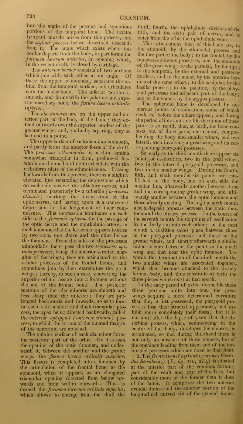 mto tlio angle of llic petrous and squamous third, fourth, the oplithalmic <livision of iho portions of the temporal bone. The laxator fifth, and the sixth pair of nerves and to tympam muscle arises from this jn-ocess, and enter from the orbit the ophthalmic veins the styloid process before described descends The articulations then of this bone are to from it. The angle which exists where this the ethmoid, by the ethmoidal process and border departs from the body, in part forms the the fore part of the body; to the frontal, by die Jorumen laccruui anterms, an opening which, transverse spinous processes, and the summits in the recent skull, is closed by caitilagc. of the great wing; to die parietal, by the tins* The anterior border consists of two portions to the temporal, by the external and posterior which join with each other at an angle. Of borders, and to the malar, by the anterior bor- these the upper is indented, separates the or- dersof the same wings; to the occipital, by the bital from the temporal surface, and articulates basilar process; to the palatine, by the ptery- with the malar bone. Ihe inferior portion is goid processes and adjacent part of the body- smooth, and forms with the palatine and supe- and to the vomer, by the azygos process, nor maxillary bone, the fissura lacera orhitalis The sphenoid bone is developed by nu- merous points of ossification, some of which ala minores are on the upper and an- coalesce before the others appear; and during terior part of the body of the bone; they ex- the period of intra-uterine life the union of these tend outwards over the superior borders of the parts is so rapid, that, at birth, the bone con- greater wings, and, gradually tapering, they at sists but of three parts, one central, compre- last end in a point. bending the body and smaller wings, and two The upper surface of each ala minor is smooth, lateral, each involving a great wing and its cor- and partly forms the anterior fossae of the skull, responding pterygoid processes. The processus ethmoidalis is a thin lamina So early as the third month there appear six somewhat triangular in form, prolonged for- points^of ossification, two in the great wings, wards on the median line to articulate with the two in the internal pterygoid processes, and cribriform plate of the ethmoid bone. Passing two in the smaller wings. During the fourth, backwards from this process, there is a slightly fifth, and sixth months six points are esta- elevated line separating the depressions which blished in the body, one on each side the on each side receive the olfactory nerves, and median line, afterwards another between these terminated posteriorly by a tubercle (processus and the corresponding greater wing, and ulti- oUvaris) marking the decussation of the mately another between the optic foramen and optic nerves, and having upon it a transverse those already existing. During the sixth month depression for the lodgement of their com- also a deposit appears between the optic foi*a- missure. This depression terminates on each men and the olivary process. In the course of side in the foramen opticum for the passage of the seventh month the six points of ossification the optic nerve and the ophthalmic artery, in in the body run into each other; in the next such a manner that the lesser ala appears to arise month a coalition takes place between those by two roots, one above and the other below in the pterygoid processes and those in the the fommen. From the sides of the processus greater wings, and shortly afterwards a similar ethmoidalis there pass the two transverse spi- union occurs between the point in the small nous jimicesses, being the anterior serrated mar- wing and that near the optic foi-ainen. To- gins of the wings; they are articulated to the wards the termination of the ninth month the orbitar processes of the frontal bones, and two smaller wings are associated together, sometimes join by their extremities the great which then become attached to the already wings; thereby, in such a case, converting the formed body, and thus constitute at birth the superior orbital fissure into a foramen without three pieces which exist at that epoch, the aid of the frontal bone. The posterior In the early period of extra-uterine life these margins of the alae minores are smooth and three portions unite into one, the great less sharp than the anterior; they are pro- wings acquire a more determined curvature longed backwards and inwards, so as to form than they at first possessed, the pterygoid pro- on each side a short and thick triangular pro- cesses lose their striated appearance, and ex- cess, the apex being directed backwards, called hibit more completely their fossa; but it is the anterior ephippial (anterior clinoid) pro- not until after the lapse of years that the ab- cess, to which the cornua of the lunated margin sorbing process, which, commencing in the of the tentorium are attached. centre of the body, developes the sinuses, is The inferior surface of each ala minor forms terminated, so that during childhood there is the posterior part of the orbit. On it is seen not only an absence of these sinuses, but of the opening of the optic foramen, and under- the openings leading from them and of the tur- neath it, l^tween the smaller and the greater binated processes which are fixed to their front, wings, the fissm'a lucera orbitalis superior. 2.Thefrnntalbo7ie(osfrontis,coro7ue; Germ. This fissure is completed into a foramen by das Stmibein,) (¥, jig. Z70, 373,) is situated the articulation of the frontal bone to the at the anterior part of the cranium, forming sphenoid, when it appears as an elongated part of the vault and part of the base, but triangular opening directed from below up- considerably more of the former than it does wards and from within outwards. Thus is of the latter. It comprises the two anterior formed the foramen laccru7n orbitale S7ipcrius, ovoidal domes and the anterior portion of the which allows to emerge from the skull the longitudinal curved rib of the general frame-