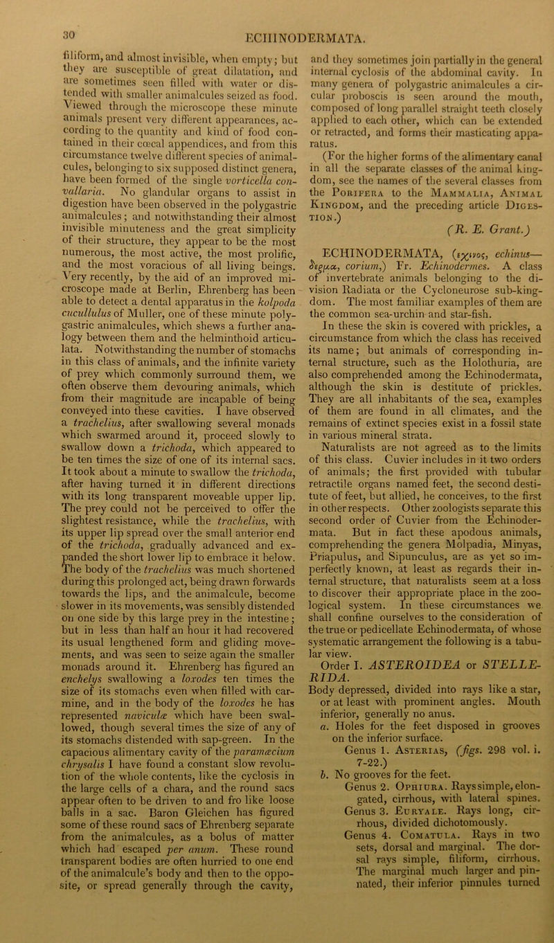filiform,and almost invisible, when empty; but they are susceptible of great dilatation, and are sometimes seen filled with water or dis- tended with smaller animalcules seized as food. Viewed through the microscope these minute animals present very different appearances, ac- cording to the quantity and kind of food con- tained in their ccecal appendices, and from this circumstance twelve different species of animal- cules, belonging to six supposed distinct genera, have been formed of the single vqrticella cun- vullaria. No glandular organs to assist in digestion have been observed in the polygastric animalcules; and notwithstanding their almost invisible minuteness and the great simplicity of their structure, they appear to be the most numerous, the most active, the most prolific, and the most voracious of all living beings. Very recently, by the aid of an improved mi- croscope made at Berlin, Ehrenberg has been able to detect a dental apparatus in the kolpoda cucullulus of Muller, one of these minute poly- gastric animalcules, which shews a further ana- logy between them and the helminthoid articu- lata. Notwithstanding the number of stomachs in this class of animals, and the infinite variety of prey which commonly surround them, we often observe them devouring animals, which from their magnitude are incapable of being conveyed into these cavities. I have observed a trachelius, after swallowing several monads which swarmed around it, proceed slowly to swallow down a trichoda, which appeared to be ten times the size of one of its internal sacs. It took about a minute to swallow the trichoda, after having turned it in different directions with its long transparent moveable upper lip. The prey could not be perceived to offer the slightest resistance, while the trachelius, with its upper lip spread over the small anterior end of the trichoda, gradually advanced and ex- panded the short lower lip to embrace it below. The body of the trachelius was much shortened during this prolonged act, being drawn forwards towards the lips, and the animalcule, become slower in its movements, was sensibly distended on one side by this large prey in the intestine; but in less than half an hour it had recovered its usual lengthened form and gliding move- ments, and was seen to seize again the smaller monads around it. Ehrenberg has figured an enchelys swallowing a loxodes ten times the size of its stomachs even when filled with car- mine, and in the body of the loxodes he has represented naviculre which have been swal- lowed, though several times the size of any of its stomachs distended with sap-green. In the capacious alimentary cavity of the paramcecium chrysalis I have found a constant slow revolu- tion of the whole contents, like the cyclosis in the large cells of a chara, and the round sacs appear often to be driven to and fro like loose balls in a sac. Baron Gleichen has figured some of these round sacs of Ehrenberg separate from the animalcules, as a bolus of matter which had escaped per anum. These round transparent bodies are often hurried to one end of the animalcule’s body and then to the oppo- site, or spread generally through the cavity, and they sometimes join partially in the general internal cyclosis of the abdominal cavity. In many genera of polygastric animalcules a cir- cular proboscis is seen around the mouth, composed of long parallel straight teeth closely applied to each other, which can be extended or retracted, and forms their masticating appa- ratus. (For the higher forms of the alimentary canal in all the separate classes of the animal king- dom, see the names of the several classes from the Porifera to the Mammalia, Animal Kingdom, and the preceding article Diges- tion.) (R. E. Grant.) ECHINODERMATA, (tp^n/o?, echinus— &E/3[x.ct, corium,) Fr. Echinodermes. A class of invertebrate animals belonging to the di- vision Radiata or the Cycloneurose sub-king- dom. The most familiar examples of them are the common sea-urchin and star-fish. In these the skin is covered with prickles, a circumstance from which the class has received its name; but animals of corresponding in- ternal structure, such as the Holothuria, are also comprehended among the Echinodermata, although the skin is destitute of prickles. They are all inhabitants of the sea, examples of them are found in all climates, and the remains of extinct species exist in a fossil state in various mineral strata. Naturalists are not agreed as to the limits of this class. Cuvier includes in it two orders of animals; the first provided with tubular retractile organs named feet, the second desti- tute of feet, but allied, he conceives, to the first in other respects. Other zoologists separate this second order of Cuvier from the Echinoder- mata. But in fact these apodous animals, comprehending the genera Molpadia, Minyas, Priapulus, and Sipunculus, are as yet so im- perfectly known, at least as regards their in- ternal structure, that naturalists seem at a loss to discover their appropriate place in the zoo- logical system. In these circumstances we shall confine ourselves to the consideration of the true or pedicellate Echinodermata, of whose systematic arrangement the following is a tabu- lar view. Order I. ASTEROIDEA or STELLE- RIDA. Body depressed, divided into rays like a star, or at least with prominent angles. Mouth inferior, generally no anus. a. Holes for the feet disposed in grooves on the inferior surface. Genus 1. Asterias, (figs. 298 vol. i. 7-22.) h. No grooves for the feet. Genus 2. Ophiura. Rays simple, elon- gated, cirrhous, with lateral spines. Genus 3. Euryale. Rays long, cir- rhous, divided dichotomously. Genus 4. Comatula. Rays in two sets, dorsal and marginal. The dor- sal rays simple, filiform, cirrhous. The marginal much larger and pin- nated, their inferior pinnules turned