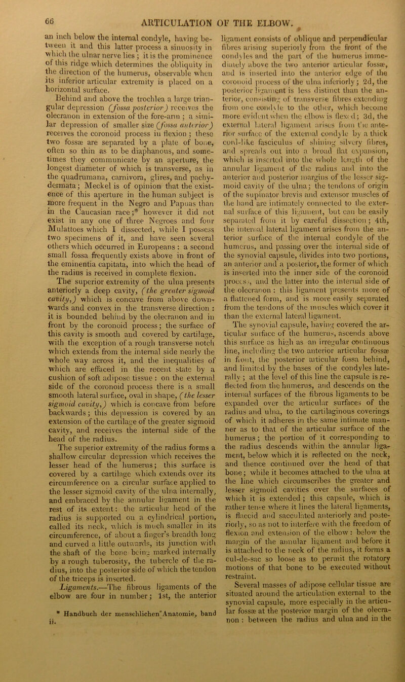 an inch below the internal condyle, having be- tween it and this latter process a sinuosity in which the ulnar nerve lies ; it is the prominence of this ridge which determines the obliquity in the direction of the humerus, observable when its inferior articular extremity is placed on a horizontal surface. Behind and above the trochlea a large trian- gular depression (fossa posterior) receives the olecranon in extension of the fore-arm ; a simi- lar depression of smaller size (fossa anterior) receives the coronoid process in flexion ; these two fossae are separated by a plate of bone, often so thin as to be diaphanous, and some- times they communicate by an aperture, the longest diameter of which is transverse, as in the quadrumana, carnivora, glires, and pachy- dermata; Meckel is of opinion that the exist- ence of this aperture in the human subject is more frequent in the Negro and Papuas than in the Caucasian race ;* however it did not exist in any one of three Negroes and four Mulattoes which I dissected, while I possess two specimens of it, and have seen several others which occurred in Europeans : a second small fossa frequently exists above in front of the eminentia capitata, into which the head of the radius is received in complete flexion. The superior extremity of the ulna presents anteriorly a deep cavity, (the greater sigmoid cavity,) which is concave from above down- wards and convex in the transverse direction : it is bounded behind by the olecranon and in front by the coronoid process; the surface of this cavity is smooth and covered by cartilage, with the exception of a rough transverse notch which extends from the internal side nearly the whole way across it, and the inequalities of which are effaced in the recent slate by a cushion of soft adipose tissue : on the external side of the coronoid process there is a small smooth lateral surface, oval in shape, (the lesser sigmoid cavity,) which is concave from before backwards; this depression is covered by an extension of the cartilage of the greater sigmoid cavity, and receives the internal side of the head of the radius. The superior extremity of the radius forms a shallow circular depression which receives the lesser head of the humerus; this surface is covered by a cartilage which extends over its circumference on a circular surface applied to the lesser sigmoid cavity of the ulna internally, and embraced by the annular ligament in the rest of its extent: the articular head of the radius is supported ou a cylindrical portion, called its neck, which is much smaller in its circumference, of about a finger’s breadth long and curved a little outwards, its junction with the shaft of the bone being marked internally by a rough tuberosity, the tubercle of the ra- dius, into the posterior side of which the tendon of the triceps is inserted. Ligaments.—The fibrous ligaments of the elbow are four in number; 1st, the anterior * Handbuch der menschlichenAnatomie, band ii. ligament consists of oblique and perpendicular fibres arising superiorly from the front of the condyles and the part of the humerus imme- diately above the two anterior articular fossae, and is inserted into the anterior edge of the coronoid process of the ulna interiorly ; 2d, the posterior ligament is less distinct than the an- terior, consisting of transverse fibres extending from one condyle to the other, which become more evident when the elbow is flexed; 3d, the external lateral ligament arises from the ante- rior surface of the external condyle by a thick cord-like fasciculus of shining silvery fibres, and spreads out into a broad flat expansion, which is inserted into the whole length of the annular ligament of the radius and into the anterior and posterior margins of the lesser sig- moid cavity of the ulna; the tendons of origin of the supinator brevis and extensor muscles of the hand are intimately connected to the exter- nal surface of this ligament, but can be easily separated from it by careful dissection; 4th, the internal lateral ligament arises from the an- terior surface of the internal condyle of the humerus, and passing over the internal side of the synovial capsule, divides into two portions, an anterior and a posterior, the former of which is inserted into the inner side of the coronoid process, and the latter into the internal side of the olecranon : this ligament presents more of a flattened form, and is more easily separated from the tendons of the muscles which cover it than the external lateral ligament. The synovial capsule, having covered the ar- ticular surface of the humerus, ascends above this surface as high as an irregular continuous line, including the two anterior articular fossae in front, the posterior articular fossa behind, and limited by the bases of the condyles late- rally ; at the level of this line the capsule is re- flected from the humerus, and descends on the internal surfaces of the fibrous ligaments to be expanded over the articular surfaces of the radius and ulna, to the cartilaginous coverings of which it adheres in the same intimate man- ner as to that of the articular surface of the humerus ; the portion of it corresponding to the radius descends within the annular liga- ment, below which it is reflected on the neck, and thence continued over the head of that bone; while it becomes attached to the ulna at the line which circumscribes the greater and lesser sigmoid cavities over the surfaces of which it is extended ; this capsule, which is rather tense where it lines the lateral ligaments, is flaccid and sacculated anteriorly and poste- riorly, so as not to interfere with the freedom of flexion and extension of the elbowr: below the margin of the annular ligament and before it is attached to the neck of the radius, it forms a cul-de-sac so loose as to permit the rotatory motions of that bone to be executed without restraint. Several masses of adipose cellular tissue are situated around the articulation external to the synovial capsule, more especially in the articu- lar fossae at the posterior margin of the olecra- non : between the radius and ulna and in the