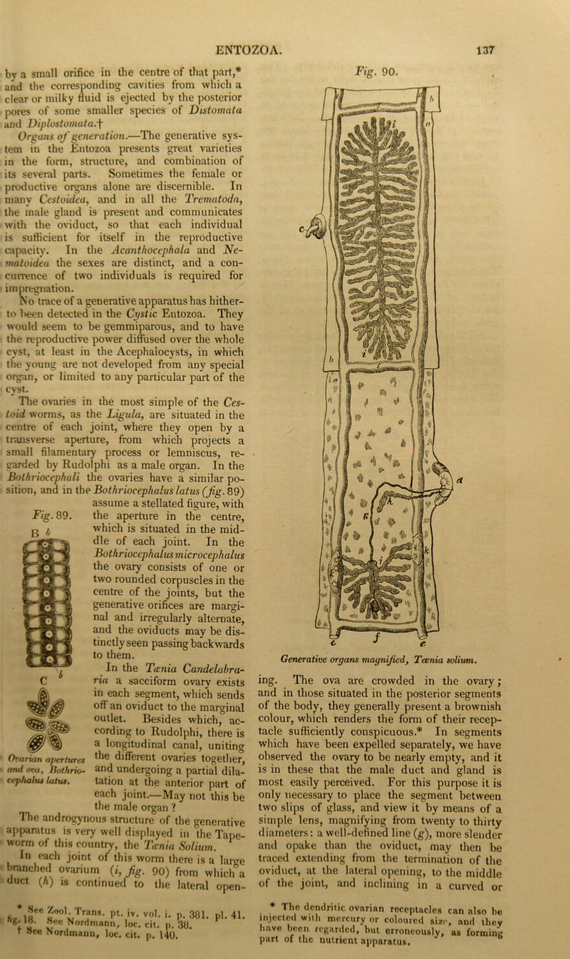 by a small orifice in the centre of that part,* and the corresponding cavities from which a clear or milky fluid is ejected by the posterior pores of some smaller species of Distomata and Diplostomata.f Organs of generation.—The generative sys- tem in the Entozoa presents great varieties in the form, structure, and combination of its several parts. Sometimes the female or productive organs alone are discernible. In many Cestoidea, and in all the Trematoda, the male gland is present and communicates with the oviduct, so that each individual is sufficient for itself in the reproductive capacity. In the Acanthocephala and Ne- matoidea the sexes are distinct, and a con- currence of two individuals is required for impregnation. No trace of a generative apparatus has hither- to been detected in the Cystic Entozoa. They would seem to be gemmiparous, and to have the reproductive power diffused over the whole cyst, at least in the Acephaiocysts, in which the young are not developed from any special organ, or limited to any particular part of the cvst. J The ovaries in the most simple of the Ces- toid worms, as the Ligula, are situated in the centre of each joint, where they open by a transverse aperture, from which projects a small filamentary process or lemniscus, re- garded by Rudolphi as a male organ. In the Bolhriocephali the ovaries have a similar po- sition, and in the Bothriocephalus latus (fig. 89) assume a stellated figure, with the aperture in the centre, which is situated in the mid- dle of each joint. In the Bothriocephalus microcephalus the ovary consists of one or two rounded corpuscles in the centre of the joints, but the generative orifices are margi- nal and irregularly alternate, and the oviducts may be dis- tinctly seen passing backwards to them. In the Tania Candelabra- ria a sacciform ovary exists in each segment, which sends off an oviduct to the marginal outlet. Besides which, ac- cording to Rudolphi, there is ^ ^ a longitudinal canal, uniting Ovarian apertures tlle different ovaries together, and nva, Rothrio- and undergoing a partial dila- cephalu* latus. tation at the anterior part of each joint.—May not this be the male organ ? The androgynous structure of the generative apparatus is very well displayed in the Tape- worm of this country, the Tania Solium. In each joint of this worm there is a large branched ovarium (i, fig. 90) from which a duct (A) is continued to the lateral open- Fig. 90. Generative organs magnified. Taenia solium. ing. The ova are crowded in the ovary; and in those situated in the posterior segments of the body, they generally present a brownish colour, which renders the form of their recep- tacle sufficiently conspicuous.* In segments which have been expelled separately, we have observed the ovary to be nearly empty, and it is in these that the male duct and gland is most easily perceived. For this purpose it is only necessary to place the segment between two slips of glass, and view it by means of a simple lens, magnifying from twenty to thirty diameters: a well-defined line (g), more slender and opake than the oviduct, may then be traced extending from the termination of the oviduct, at the lateral opening, to the middle of the joint, and inclining in a curved or J00,wTr.?ns- Pt-fr- vol. i. P. 381. ng. Sec Nordmann, loc. cit. p. 38. t Sec Nordmann, loc. cit. p. 140. The dendritic ovarian receptacles can also be injected with mercury or coloured size, and they have been regarded, but erroneously, as forming part of the nutrient apparatus.