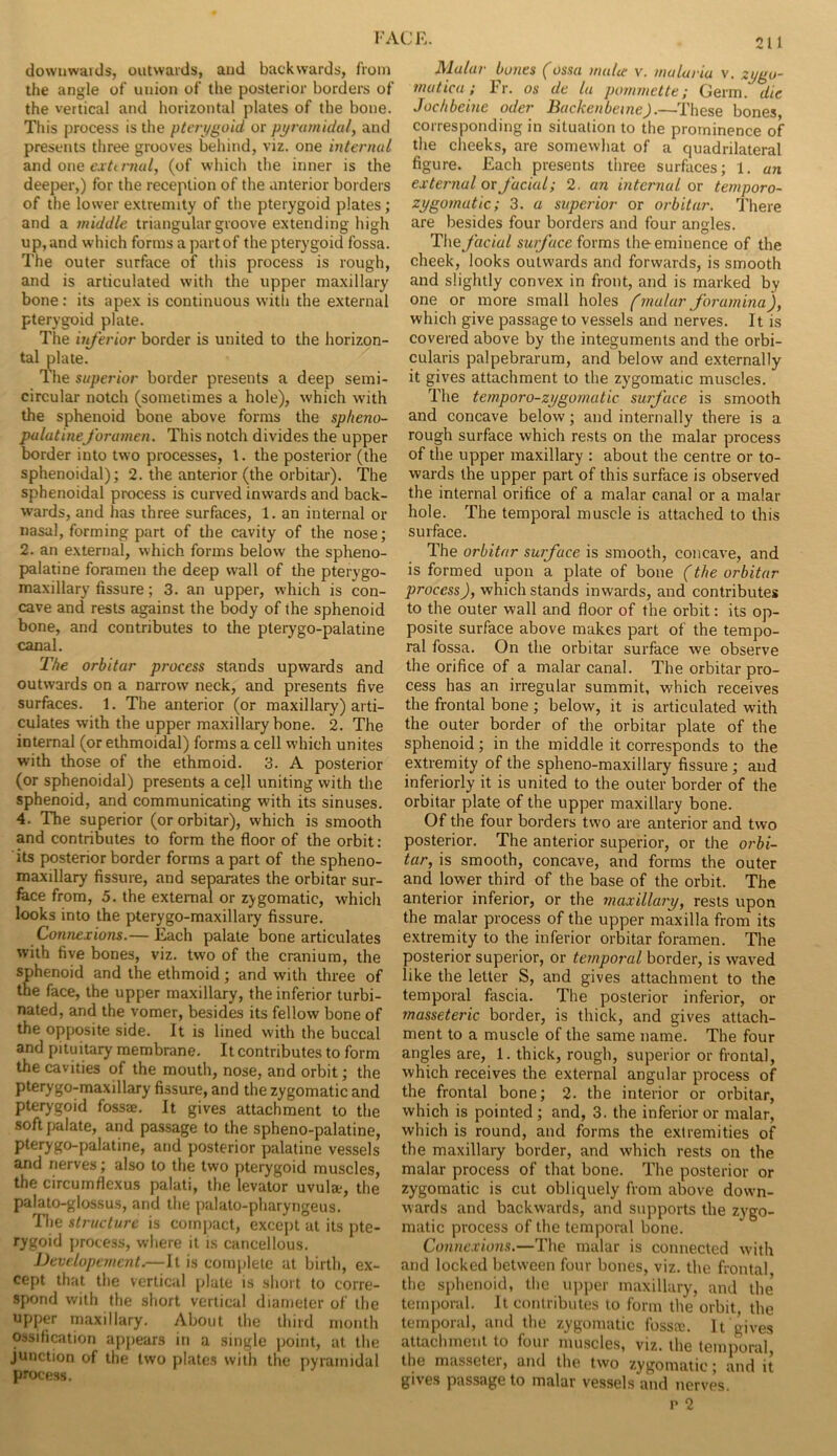 downwaids, outwards, aud backwards, from the angle of union of the posterior borders of the vertical and horizontal plates of the bone. This process is the pterygoid or pyramidal, and presents three grooves behind, viz. one internal and one exti mal, (of which the inner is the deeper,) for the reception of the anterior borders of the lower extremity of the pterygoid plates; and a middle triangular groove extending high up, and which forms a part of the pterygoid fossa. The outer surface of this process is rough, and is articulated with the upper maxillary bone: its apex is continuous with the external pterygoid plate. The inferior border is united to the horizon- tal plate. The superior border presents a deep semi- circular notch (sometimes a hole), which with the sphenoid bone above forms the spheno- palatineforamen. This notch divides the upper border into two processes, 1. the posterior (the sphenoidal); 2. the anterior (the orbitar). The sphenoidal process is curved inwards and back- wards, and has three surfaces, 1. an internal or nasal, forming part of the cavity of the nose; 2. an external, which forms below the spheno- palatine foramen the deep wall of the pterygo- maxillary fissure; 3. an upper, which is con- cave and rests against the body of the sphenoid bone, and contributes to the pterygo-palatine canal. The orbitar process stands upwards and outwards on a narrow neck, and presents five surfaces. 1. The anterior (or maxillary) arti- culates with the upper maxillary bone. 2. The internal (or ethmoidal) forms a cell which unites with those of the ethmoid. 3. A posterior (or sphenoidal) presents a cell uniting with the sphenoid, and communicating with its sinuses. 4. The superior (or orbitar), which is smooth and contributes to form the floor of the orbit: its posterior border forms a part of the spheno- maxillary fissure, and separates the orbitar sur- face from, 5. the external or zygomatic, which looks into the pterygo-maxillary fissure. Connexions.— Each palate bone articulates with five bones, viz. two of the cranium, the sphenoid and the ethmoid; and with three of the face, the upper maxillary, the inferior turbi- nated, and the vomer, besides its fellow bone of the opposite side. It is lined with the buccal and pituitary membrane. It contributes to form the cavities of the mouth, nose, and orbit; the pterygo-maxillary fissure, and the zygomatic and pterygoid fossre. It gives attachment to the soft palate, and passage to the spheno-palatine, pterygo-palatine, and posterior palatine vessels and nerves; also to the two pterygoid muscles, the circumflexus palati, the levator uvula, the palato-glossus, and the palato-pharyngeus. The structure is compact, except at its pte- rygoid process, where it is cancellous. Dev elopement.—It is complete at birth, ex- cept that the vertical plate is short to corre- spond with the short vertical diameter of the upper maxillary. About the third month ossification appears in a single point, at the junction of the two plates with the pyramidal process. Malar bones (ossa malie v. malaria v. zygo- matic a; Fr. os de la pommette; Germ, die Jochbeine oder Backenbeme).—These bones corresponding in situation to the prominence of the cheeks, are somewhat of a quadrilateral figure. Each presents three surfaces; 1. an external or facial; 2. an internal or temporo- zygomatic; 3. a superior or orbitar. There are besides four borders and four angles. The facial surface forms the eminence of the cheek, looks outwards and forwards, is smooth and slightly convex in front, and is marked by one or more small holes (malar foramina), which give passage to vessels and nerves. It is covered above by the integuments and the orbi- cularis palpebrarum, and below and externally it gives attachment to the zygomatic muscles. The temporo-zygomatic surface is smooth and concave below; and internally there is a rough surface which rests on the malar process of the upper maxillary : about the centre or to- wards the upper part of this surface is observed the internal orifice of a malar canal or a malar hole. The temporal muscle is attached to this surface. The orbitar surface is smooth, concave, and is formed upon a plate of bone (the orbitar process), which stands inwards, and contributes to the outer wall and floor of the orbit: its op- posite surface above makes part of the tempo- ral fossa. On the orbitar surface we observe the orifice of a malar canal. The orbitar pro- cess has an irregular summit, which receives the frontal bone; below, it is articulated with the outer border of the orbitar plate of the sphenoid; in the middle it corresponds to the extremity of the spheno-maxillary fissure ; and inferiorly it is united to the outer border of the orbitar plate of the upper maxillary bone. Of the four borders two are anterior and two posterior. The anterior superior, or the orbi- tar, is smooth, concave, and forms the outer and lower third of the base of the orbit. The anterior inferior, or the maxillary, rests upon the malar process of the upper maxilla from its extremity to the inferior orbitar foramen. The posterior superior, or temporal border, is waved like the letter S, and gives attachment to the temporal fascia. The posterior inferior, or ?nasseteric border, is thick, and gives attach- ment to a muscle of the same name. The four angles are, 1. thick, rough, superior or frontal, which receives the external angular process of the frontal bone; 2. the interior or orbitar, which is pointed ; and, 3. the inferior or malar, which is round, and forms the extremities of the maxillary border, and which rests on the malar process of that bone. The posterior or zygomatic is cut obliquely from above down- wards and backwards, and supports the zygo- matic process of the temporal bone. Connexions.—The malar is connected with and locked between four bones, viz. the frontal the sphenoid, the upper maxillary, and the temporal. It contributes to form the orbit, the temporal, and the zygomatic fossrc. It gives attachment to four muscles, viz. the temporal, the massetei, and the two zygomatic; and it gives passage to malar vessels and nerves. p 2