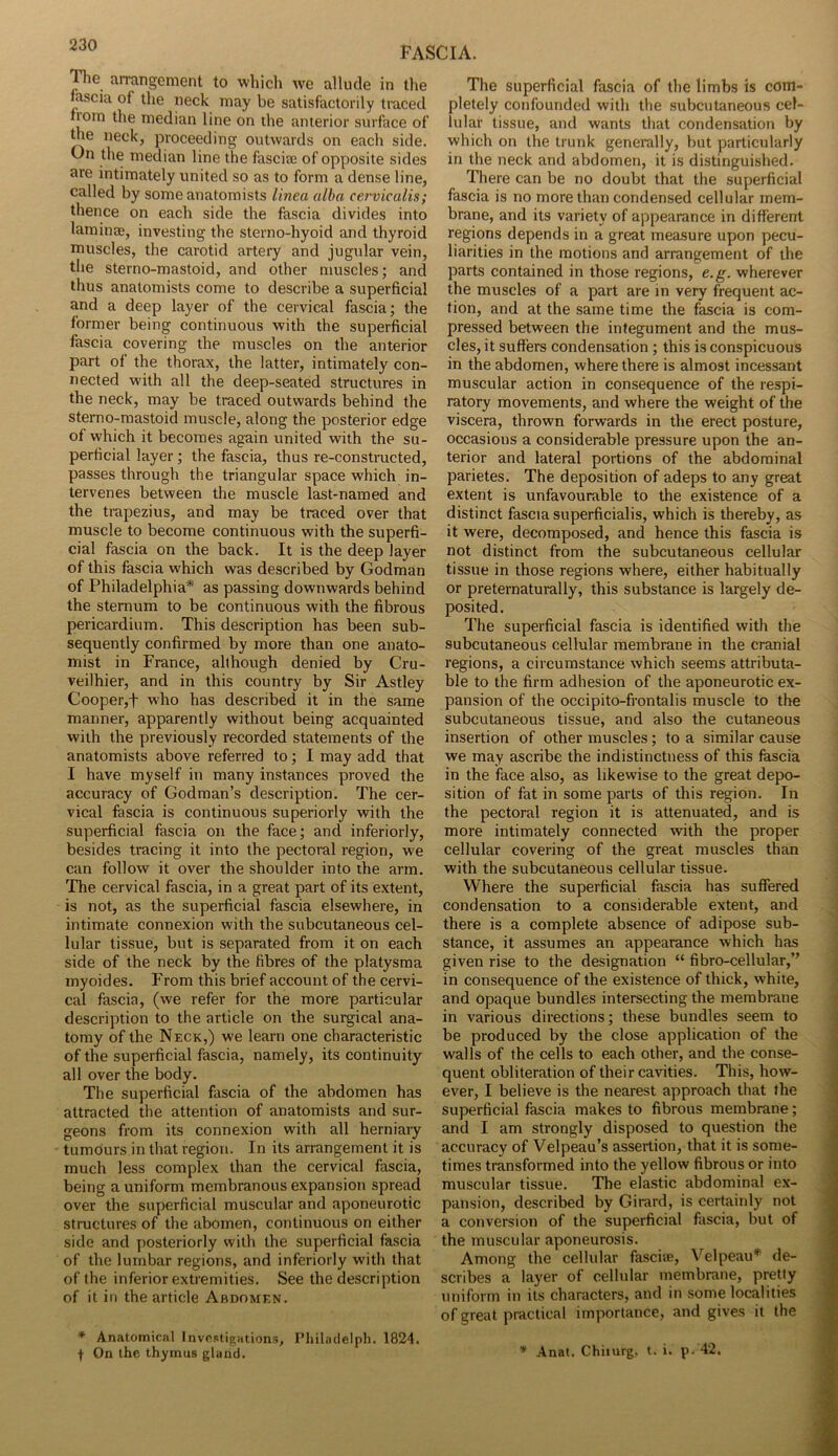 I ie arrangement to which we allude in the fascia of the neck may be satisfactorily traced nom the median line on the anterior surface of the neck, proceeding outwards on each side. On the median line the fasciae of opposite sides are intimately united so as to form a dense line, called by some anatomists linea alba cervicalis; thence on each side the fascia divides into laminae, investing the sterno-hyoid and thyroid muscles, the carotid artery and jugular vein, the sterno-mastoid, and other muscles; and thus anatomists come to describe a superficial and a deep layer of the cervical fascia; the former being continuous with the superficial fascia covering the muscles on the anterior part of the thorax, the latter, intimately con- nected with all the deep-seated structures in the neck, may be traced outwards behind the sterno-mastoid muscle, along the posterior edge of which it becomes again united with the su- perficial layer; the fascia, thus re-constructed, passes through the triangular space which in- tervenes between the muscle last-named and the trapezius, and may be traced over that muscle to become continuous with the superfi- cial fascia on the back. It is the deep layer of this fascia which was described by Godman of Philadelphia* as passing downwards behind the sternum to be continuous with the fibrous pericardium. This description has been sub- sequently confirmed by more than one anato- mist in France, although denied by Cru- veilhier, and in this country by Sir Astley Cooper,f who has described it in the same manner, apparently without being acquainted with the previously recorded statements of the anatomists above referred to; I may add that I have myself in many instances proved the accuracy of Godman’s description. The cer- vical fascia is continuous superiorly with the superficial fascia on the face; and interiorly, besides tracing it into the pectoral region, we can follow it over the shoulder into the arm. The cervical fascia, in a great part of its extent, is not, as the superficial fascia elsewhere, in intimate connexion with the subcutaneous cel- lular tissue, but is separated from it on each side of the neck by the fibres of the platysma myoides. From this brief account of the cervi- cal fascia, (we refer for the more particular description to the article on the surgical ana- tomy of the Neck,) we learn one characteristic of the superficial fascia, namely, its continuity all over the body. The superficial fascia of the abdomen has attracted the attention of anatomists and sur- geons from its connexion with all herniary tumours in that region. In its arrangement it is much less complex than the cervical fascia, being a uniform membranous expansion spread over the superficial muscular and aponeurotic structures of the abomen, continuous on either side and posteriorly with the superficial fascia of the lumbar regions, and inferiorly with that of the inferior extremities. See the description of it in the article Abdomen. * Anatomical Investigations, Philadelph. 1824. f On the thymus gland. The superficial fascia of the limbs is com- pletely confounded with the subcutaneous cel- lular tissue, and wants that condensation by which on the trunk generally, but particularly in the neck and abdomen, it is distinguished. There can be no doubt that the superficial fascia is no more than condensed cellular mem- brane, and its variety of appearance in different regions depends in a great measure upon pecu- liarities in the motions and arrangement of the parts contained in those regions, e.g. wherever the muscles of a part are in very frequent ac- tion, and at the same time the fascia is com- pressed between the integument and the mus- cles, it suffers condensation ; this is conspicuous in the abdomen, where there is almost incessant muscular action in consequence of the respi- ratory movements, and where the weight of the viscera, thrown forwards in the erect posture, occasions a considerable pressure upon the an- terior and lateral portions of the abdominal parietes. The deposition of adeps to any great extent is unfavourable to the existence of a distinct fascia superficialis, which is thereby, as it were, decomposed, and hence this fascia is not distinct from the subcutaneous cellular tissue in those regions where, either habitually or preternaturally, this substance is largely de- posited. The superficial fascia is identified with the subcutaneous cellular membrane in the cranial regions, a circumstance which seems attributa- ble to the firm adhesion of the aponeurotic ex- pansion of the occipito-frontalis muscle to the subcutaneous tissue, and also the cutaneous insertion of other muscles ; to a similar cause we may ascribe the indistinctness of this fascia in the face also, as likewise to the great depo- sition of fat in some parts of this region. In the pectoral region it is attenuated, and is more intimately connected with the proper cellular covering of the great muscles than with the subcutaneous cellular tissue. Where the superficial fascia has suffered condensation to a considerable extent, and there is a complete absence of adipose sub- stance, it assumes an appearance which has given rise to the designation “ fibro-cellular,” in consequence of the existence of thick, white, and opaque bundles intersecting the membrane in various directions; these bundles seem to be produced by the close application of the walls of the cells to each other, and the conse- quent obliteration of their cavities. This, how- ever, I believe is the nearest approach that the superficial fascia makes to fibrous membrane; and I am strongly disposed to question the accuracy of Velpeau’s assertion, that it is some- times transformed into the yellow fibrous or into muscular tissue. The elastic abdominal ex- pansion, described by Girard, is certainly not a conversion of the superficial fascia, but of the muscular aponeurosis. Among the cellular fasciae, Velpeau* de- scribes a layer of cellular membrane, pretty uniform in its characters, and in some localities of great practical importance, and gives it the * Anat. Chiiurg. t. i. p. 42.