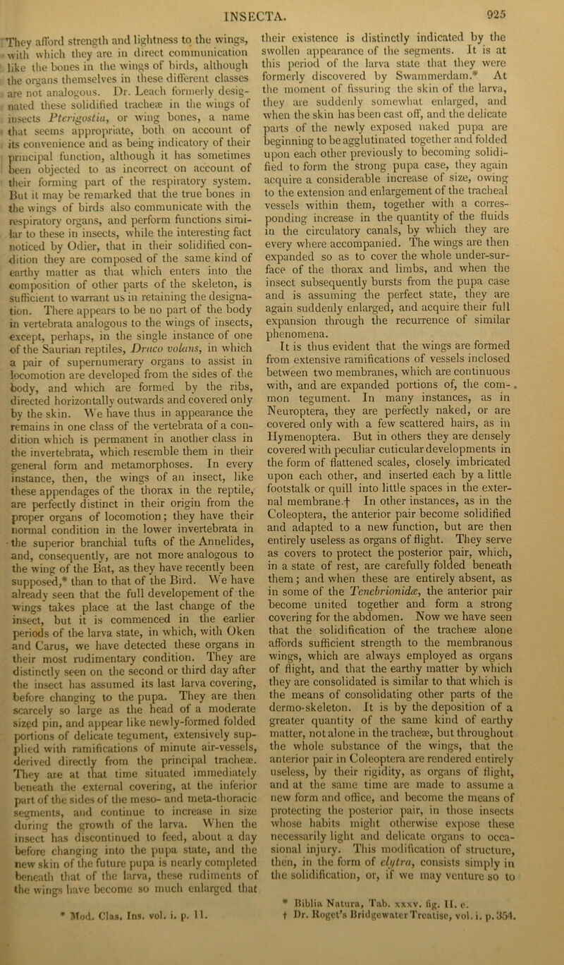 They afford strength and lightness to the wings, with which they are in direct communication like the bones in the wings of birds, although the organs themselves in these different classes are not analogous. Dr. Leach formerly desig- nated these solidified trachere in the wings of insects Pterigostiu, or wing bones, a name that seems appropriate, both on account of its convenience and as being indicatory of their principal function, although it has sometimes been objected to as incorrect on account of their forming part of the respiratory system. But it may be remarked that the true bones in the wings of birds also communicate with the respiratory organs, and perform functions simi- lar to these in insects, while the interesting fact noticed by Odier, that in their solidified con- dition they are composed of the same kind of earthy matter as that which enters into the composition of other parts of the skeleton, is sufficient to warrant us in retaining the designa- tion. There appears to be no part of the body in vertebrata analogous to the wings of insects, except, perhaps, in the single instance of one of the Saurian reptiles, Draco voLtns, in which a pair of supernumerary organs to assist in locomotion are developed from the sides of the body, and which are formed by the ribs, directed horizontally outwards and covered only by the skin. We have thus in appearance the remains in one class of the vertebrata of a con- dition which is permanent in another class in the invertebrata, which resemble them in their general form and metamorphoses. In every instance, then, the wings of an insect, like these appendages of the thorax in the reptile, are perfectly distinct in their origin from the proper organs of locomotion; they have their normal condition in the lower invertebrata in • the superior branchial tufts of the Annelides, and, consequently, are not more analogous to the wing of the Bat, as they have recently been supposed,* than to that of the Bird. We have already seen that the full developement of the wings takes place at the last change of the insect, but it is commenced in the earlier periods of the larva state, in which, with Oken and Carus, we have detected these organs in their most rudimentary condition. They are distinctly seen on the second or third day after the insect has assumed its last larva covering, before changing to the pupa. They are then scarcely so large as the head of a moderate sized pin, and appear like newly-formed folded portions of delicate tegument, extensively sup- plied with ramifications of minute air-vessels, derived directly from the principal tracheae. They are at that time situated immediately beneath the external covering, at the inferior part of the sides of the meso- and meta-thoracic segments, and continue to increase in size during the growth of the larva. When the insect has discontinued to feed, about a day before changing into the pupa state, and the new skin of the future pupa is nearly completed beneath that of the larva, these rudiments of the wings have become so much enlarged that * Mod. C’la9. Ins. vol. i. p. 11. their existence is distinctly indicated by the swollen appearance of the segments. It is at this period of the larva state that they were formerly discovered by Swammerdam.* At the moment of Assuring the skin of the larva, they are suddenly somewhat enlarged, and when the skin has been cast off, and the delicate parts of the newly exposed naked pupa are beginning to be agglutinated together and folded upon each other previously to becoming solidi- fied to form the strong pupa case, they again acquire a considerable increase of size, owing to the extension and enlargement of the tracheal vessels within them, together with a corres- ponding increase in the quantity of the fluids in the circulatory canals, by which they are every where accompanied. The wings are then expanded so as to cover the whole under-sur- face of the thorax and limbs, and when the insect subsequently bursts from the pupa case and is assuming the perfect state, they are again suddenly enlarged, and acquire their full expansion through the recurrence of similar phenomena. It is thus evident that the wings are formed from extensive ramifications of vessels inclosed between two membranes, which are continuous with, and are expanded portions of, the com- . mon tegument. In many instances, as in Neuroptera, they are perfectly naked, or are covered only with a few scattered hairs, as in Hymenoptera. But in others they are densely covered with peculiar cuticular developments in the form of flattened scales, closely imbricated upon each other, and inserted each by a little footstalk or quill into little spaces in the exter- nal membrane.f In other instances, as in the Coleoptera, the anterior pair become solidified and adapted to a new function, but are then entirely useless as organs of flight. They serve as covers to protect the posterior pair, which, in a state of rest, are carefully folded beneath them; and when these are entirely absent, as in some of the Tenebrumidec, the anterior pair become united together and form a strong covering for the abdomen. Now we have seen that the solidification of the trachea; alone affords sufficient strength to the membranous wings, which are always employed as organs of flight, and that the earthy matter by which they are consolidated is similar to that which is the means of consolidating other parts of the dermo-skeleton. It is by the deposition of a greater quantity of the same kind of earthy matter, not alone in the tracheae, but throughout the whole substance of the wings, that the anterior pair in Coleoptera are rendered entirely useless, by their rigidity, as organs of flight, and at the same time are made to assume a new form and office, and become the means of protecting the posterior pair, in those insects whose habits might otherwise expose these necessarily light and delicate organs to occa- sional injury. This modification of structure, then, in the form of elytra, consists simply in the solidification, or, if we may venture so to * Biblia Natura, Tab. xxxv, tig. II. c. f Dr. Uogct’s Bridgewater Treatise, vol. i. p. 354.