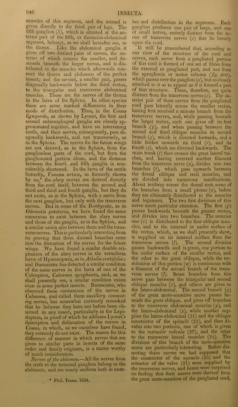 94G muscles of this segment, and the second is given directly to the third pair of legs. The fifth ganglion (5), which is situated at the an- terior part of the fifth, or thoracico-abdominal segment, belongs, as we shall hereafter see, to the thorax. Like the abdominal ganglia it gives off two distinct pairs of nerves, the an- terior of which crosses the smaller, and de- scends beneath the larger rectus, and is dis- tributed to the muscles which afterwards con- nect the thorax and abdomen of the perfect insect; and the second, a smaller pair, passes diagonally backwards below the third rectus, to the triangular and transverse abdominal muscles. These are the nerves of the thorax in the larva of the Sphinx. In other species there are some marked differences in their mode of distribution. Thus, in the Cossus ligniperda, as shown by Lyonet, the first and second suboesophageal ganglia are closely ap- proximated together, and have no intervening cords, and their nerves, consequently, pass di- agonally backwards, and not transversely, as in the Sphinx. The nerves for the future wings are not derived, as in the Sphinx, from the ganglionless parts of the cord, but from the ganglionated portion alone, and the distance between the fourth and fifth ganglia is con- siderably shortened. In the larva of the nettle butterfly, Vanessa urticcc, as formerly shown by us,* the alary nerves are derived directly from the cord itself, between the second and third and third and fourth ganglia, but they do not unite, as in the Sphinx, with a nerve from the next ganglion, but only with the transverse nerves. But in some of the Bombycidce, as in Odonestis potatoria, we have found the same connexion to exist between the alary nerves and those of the ganglia, as in the Sphinx, and a similar union also between them and the trans- verse nerves. This is particularly interesting from its proving that three distinct branches enter into the formation of the nerves for the future wings. We have found a similar double ori- gination of the alary nerves in the vermiform Larvae of Hymenoptera, as in At lialia centifiolice ; and Burmeister has detected a similar condition of the same nerves in the larva of one of the Coleoptera, Calosoma sycophanta, and, as we shall presently see, a similar condition exists even in some perfect insects. Burmeister, who observed these connexions of the nerves in Calosoma, and called them auxiliary connect- ing nerves, has somewhat curiously remarked that he believes they have not before been ob- served in any insect, particularly in the Lepi- doptera, in proof of which he adduces Lyonet’s description and delineation of the nerves in Cossus, in which, as we ourselves have found, they certainly do not exist. The reason for this difference of manner in which nerves that are given to similar parts in insects of the same order and family originate, is a matter worthy of much consideration. Nerves of the abdomen.—All the nerves from the sixth to the terminal ganglion belong to the abdomen, and are nearly uniform both in num- * Phil. Trans. 1834. her and distribution in the segments. Each ganglion produces one pair of large, and one of small nerves, entirely distinct from the se- ries of transverse nerves (o) that lie loosely upon the cord. It will be remembered that, according to our view of the structure of the cord and nerves, each nerve from a gangliated portion of this cord is formed of one set of fibres from the external or gangliated part, and one from the aganglionic or motor column (fig. 400), which passes over the ganglion (a), but so closely attached to it as to appear as if it formed a part of that structure. These, therefore, are quite distinct from the transverse nerves (c). The an- terior pair of these nerves from the gangliated cord pass laterally across the smaller rectus, having first received a minute branch from the transverse nerves, and, while passing beneath the larger rectus, each one gives off its first branch (p), and when passing between the second and third oblique muscles its second branch (q), which is directed forwards, and a little farther onwards its third (r), and its fourth (s), which are directed backwards. The main trunk (t) then crosses the great lateral tra- chea, and having received another filament from the transverse nerve (?i), divides into two branches (f), which pass upwards between the dorsal oblique and recti muscles, and are divided into numerous ramifications. About midway across the dorsal recti some of the branches form a small plexus (w), before they are ultimately distributed to the muscles and tegument. The two first divisions of this nerve merit particular attention. The first (p) passes backwards beneath the greater rectus, and divides into two branches. The anterior one (v) is distributed to the four oblique mus- cles, and to the external or under surface of the rectus, which, as we shall presently show, is supplied on its internal surface from the transverse nerves (l). The second division passes backwards and is given, one portion to the under surface of the smaller rectus, and the other to the great oblique, while the ter- mination of this portion (w) is continuous with a filament of the second branch of the trans- verse nerves (/). Some branches from this nerve pass between the triangular and second oblique muscles (.r), and others are given to the latero-abdominal. * The second branch (q) of the great moto-sensitive nerve passes be- neath the great oblique, and gives off branches to the transverse abdominal muscles (y), and the latero-abdominal (z), while another sup- plies the latero-abdominal (31) and the oblique constrictor of the spiracle (25), and then di- vides into two portions, one of which is given to the retractor valvula (27), and the other to the transverse lateral muscles (24). The divisions of this branch of the moto-sensitive nerve are particularly interesting. Before dis- secting these nerves we had supposed that the constrictor of the spiracle (25) and the retractor of the valve (21) were supplied by the transverse nerves, and hence were surprised on finding that their nerves were derived from the great moto-sensitive of the gangliated cord,