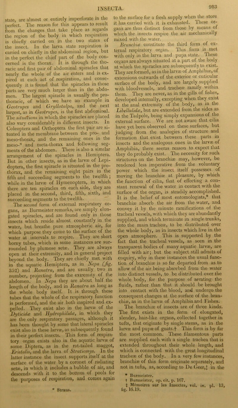 state, are almost or entirely imperforate in the perfect. The reason for this appears to result from the changes that take place as regards the region of the body in which respiration is chiefly carried on in the two states oi the insect. In the larva state respiration is carried on chiefly in the abdominal region, but in the perfect the chief part of the body con- cerned is the thorax. It is through the tho- racic and first pair of abdominal spiracles that nearly the whole of the air enters and is ex- pired at each act of respiration, and conse- quently it is found that the spiracles in those parts are very much larger than in the abdo- men. The largest spiracle is usually the pro- thoracic, of which we have an example in G cotrupes and Gri/llotalpu, and the next largest, as in Geotrupes, is the first abdominal. The sitiufiions in which the spiracles are placed also vary considerably in different insects. In Coleoptera and Orthoptera the first pair are si- tuated in the membrane between the pro- and meso-thorax, and the remaining ones in the meso-* and meta-thorax and following seg- ments of the abdomen. There is also a similar arrangement of the spiracles in Hemiptera. But in other insects, as in the larvae of Lepi- doptera, the first spiracle is situated in the pro- thorax, and the remaining eight pairs in the fifth and succeeding segments to the twelfth ; while in the larvae of Ilymenoptera, in which there are ten spiracles on each side, they are placed in the second, third, fifth, sixth, and succeeding segments to the twelfth. The second form of external respiratory or- gans, as Burmeister remarks, are simply elon- gated spiracles, and are found only in those insects which reside almost constantly in the water, but breathe pure atmospheric air, for which purpose they come to the surface of the water at intervals to respire. They are short horny tubes, which in some instances are sur- rounded by plumose setae. They are always open at their extremity, and in general project beyond the body. They are chiefly met with in the aquatic Hemiptera, as in Nepa (Jig. 352) and Ranutra, and are usually two in number, projecting from the extremity of the abdomen. In Nepu they are about half the length of the body, and in Ranutra as long as the whole body itself. It is through these tubes that the whole of the respiratory function is performed, and the air both inspired and ex- pelled. They exist also in the larva; of the JJyticida and Hi/dropliilida?, in which they are the only respiratory passages, although it has been thought by some that lateral spiracles exist also in these larvae, as subsequently found in their perfect insects. This form of respira- tory organ exists also in the aquatic larva; of some Diptera, as in the rat-tailed maggot, Erutulis, and the larva of Strut iomps. In the latter instance the insect supports itself at the surface of the water by a coronet of radiating seta;, in which it includes a bubble of air, and descends with it to the bottom of pools for the purposes of respiration, and comes again )TA. 983 to the surface for a fresh supply when the store it lias carried with it is exhausted, lliese or- gans are thus distinct from those by means of which the insects respire the air mechanically mixed with the water. jBrunchue constitute the third form of ex- ternal respiratory organ. This form is met with only in the larva and pupa state. These organs are always situated at a part of the body at which the spiracles are subsequently to exist. They are formed, as in the larva; of Amphibia', of extensions outwards of the exterior or cuticular surface of the body, and are largely supplied with bloodvessels, and tracheae ramify within them. They are never, as in the gills of fishes, developed internally, excepting when they exist at the anal extremity of the body, as in the Libellulidce, but are extended from the sides as in the Tadpole, being simply expansions of the external surface. We are not aware that cilia have yet been observed on these surfaces, but judging from the analogies of structure and formation that exist between these parts in insects and the analogous ones in the larvae of Amphibia, there seems reason to expect that they do probably exist. The necessity for such structures on the branchiae may, however, be rendered less imperative from the voluntary power which the insect itself possesses of moving the branchiae at pleasure, by which the function of cilia, that of effecting a con- stant renewal of the water in contact with the surface of the organ, is steadily accomplished. It is the belief of most entomologists,* that branchiae absorb the air from the water, and convey it by the minute ramifications of the tracheal vessels, with which they are abundantly supplied, and which terminate in single trunks, into the main tracheae, to be distributed over the whole body, as in insects which live in the open atmosphere. This is supported by the fact that the tracheal vessels, as seen in the transparent bodies of many aquatic larvae, are filled with air; but the subject still admits of enquiry, why in these instances the usual func- tion of branchiae is so far departed from as to allow of the air being absorbed from the water into distinct vessels, to be distributed over the whole body, for the purpose of aerating the fluids, rather than that it should be brought into contact with the blood, and undergo the consequent changes at the surface of the bran- chiae, as in the larvae of Amphibia and Fishes. The branchiae of insects are of three kinds. The first exists in the form of elongated, slender, hair-like organs, collected together in tufts, that originate by single stems, as in the larvae and pupae of gnats.f This form is by far the most common. These filamentous parts are supplied each with a single trachea that is extended throughout their whole length, and which is connected with the great longitudinal tracheae of the body. In a very few instances, branchiae of this form originate separately, and not in tufts, as, according to De Geer,]; in the * Burmeister. t Burmeister, op. cit. p. 167. $ Memoircs sur les Insoctcs, vol. iv. pi. 13, fig. 16.19. Straus.