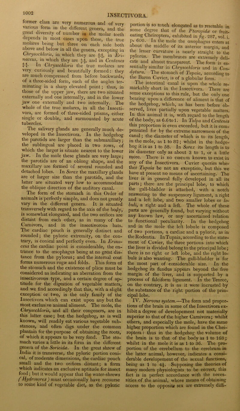 former class are very numerous and of very various form in the different genera, and the great diversity of number in the molar teeth depends in most cases upon these, the true molares being but three on each side both above and below in all the genera, excepting in Chrysochloris, in which they are f:f, in Eri- naceus, in which they are J:j{, and in Centenes l:1* In Chrysochloris the true molares are very curiously and beautifully formed: they are much compressed from before backwards, of a three-sided form, each of the angles ter- minating in a sharp elevated point; thus, in those of the upper jaw, there are two situated externally and one internally, and in the lower jaw one externally and two internally. The whole of the true molares, in all the Insecti- vora, are formed of three-sided prisms, either single or double, and surmounted by acute tubercles. The salivary glands are generally much de- veloped in the Insectivora. In the hedgehog the parotids are larger than the submaxillary; the sublingual are placed in two rows, of which the larger is situate nearest to the lower jaw. In the mole these glands are very large; the parotids are of an oblong shape, and the maxillary are formed of several rounded and detached lobes. In Sorex the maxillary glands are of larger size than the parotids, and the latter are situated very low to accommodate the oblique direction of the auditory canal. The form of the stomach in this Order of animals is perfectly simple, and does not greatly vary in the different genera. It is situated transversely with regard to the axis of the body, is somewhat elongated, and the two orifices are distant from each other, as in many of the Carnivora, and in the insectivorous bats. The cardiac pouch is generally distinct and rounded; the pyloric extremity, on the con- trary, is conical and perfectly even. In Erina- ceus the cardiac point is considerable, the en- trance to the oesophagus being at no great dis- tance from the pylorus; and the internal coat forms numerous rugae and folds. This form of the stomach and the existence of plicae must be considered as indicating an aberration from the insectivorous type, and a certain degree of ap- titude for the digestion of vegetable matters, and we find accordingly that this, with a slight exception or two, is the only family of the Insectivora which can exist upon any but the most exclusive animal aliment. The mole, the Chrysochloris, and all their congeners, are in this latter case; but the hedgehog, as is well known, will readily eat various vegetable sub- stances, and often digs under the common plantain for the purpose of obtaining the roots, of which it appears to be very fond. The sto- mach varies a little in its form in the different genera of the Soricidee. In the great shrew of India it is transverse, the pyloric portion coni- cal, of moderate dimensions, the cardiac pouch small and the two orifices distant; a form which indicates an exclusive aptitude for insect food; but it would appear that the water-shrews (Hydrosorcx) must occasionally have recourse to some kind of vegetable diet, as the pyloric portion is so much elongated as to resemble in some degree that of the Pteropida or fruit- eating Cheiroptera, exhibited in jig. 287, vol. i. p. 600. In the mole the oesophagus enters at about the middle of its anterior margin, and the lesser curvature is nearly straight to the pylorus. The membranes are extremely deli- cate and almost transparent. The form is es- sentially similar in Chrysochloris and in Con- dytura. The stomach of Tupaia, according to the Baron Cuvier, is of a globular form. The intestinal canal is upon the whole re- markably short in the Insectivora. There are some exceptions to this rule, but the only one bearing upon a difference of aliment is that of the hedgehog, which, as has been before ob- served, lives partially upon vegetable matters. In this animal it is, with regard to the length of the body, as 6.6 to 1. In Talpa and Centenes this proportion is even exceeded, but it is com- pensated for by the extreme narrowness of the canal; the diameter of which is to its length, in the mole, as 1 to 82; whilst in the hedge- hog it is as 1 to 58. In Sorex its length is to its diameter only as about 3 to 1, or a little more. There is no coecum known to exist in any of the Insectivora. Cuvier queries whe- ther Tupaia be not an exception, but this we have at present no means of ascertaining. The liver is in general fully developed in all its parts; there are the principal lobe, to which the gall-bladder is attached, with a notch answering to the suspensory ligament, a right and a left lobe, and two smaller lobes or lo- huli, a right and a left. The whole of these parts are generally found, but varying without any known law, or any ascertained relation to functional peculiarity. In the hedgehog and in the mole the left lobule is composed of two portions, a cardiac and a pyloric, as in theRodentia. In Tupaia, according to the state- ment of Cuvier, the three portions into which the liver is divided belong to the principal lobe; there is no right or left lobe, and the right lo- bule is also wanting. The gall-bladder is for the most part of considerable size. In the hedgehog its fundus appears beyond the free margin of the liver, and is supported by a process of falciform ligament. In the Tenrec, on the contrary, it is as it were incrusted by the substance of the right portion of the prin- cipal lobe. IV. Nervous system.—The form and propor- tions of the brain in some of the Insectivora ex- hibit a degree of developement not materially superior to that of the higher Carnivora; whilst others, and especially the mole, have the same higher proportion which are found in the Chei- roptera : thus in the hedgehog the volume of the brain is to that of the body as 1 to 168; whilst in the mole it is as 1 to 36. The pro- portion of the cerebellum to the cerebrum in the latter animal, however, indicates a consi- derable developement of the sexual functions, being as 1 to 4J. Supposing the theories of many modern physiologists to be correct, this fact is in perfect accordance with the neces- sities of the animal, whose means of obtaining access to the opposite sex are extremely difti-